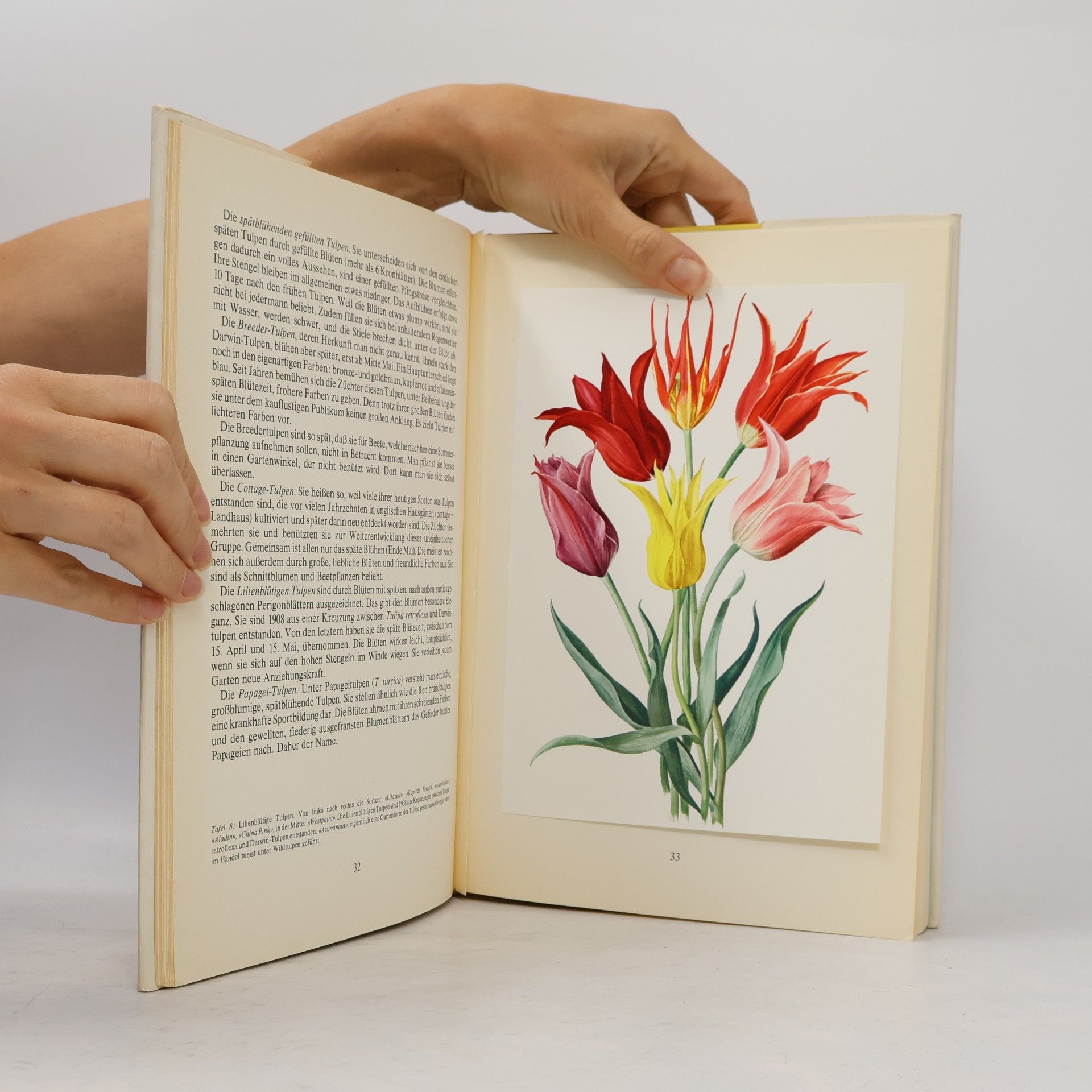 Kolektiv autorů Unsere schönsten Gartenblumen