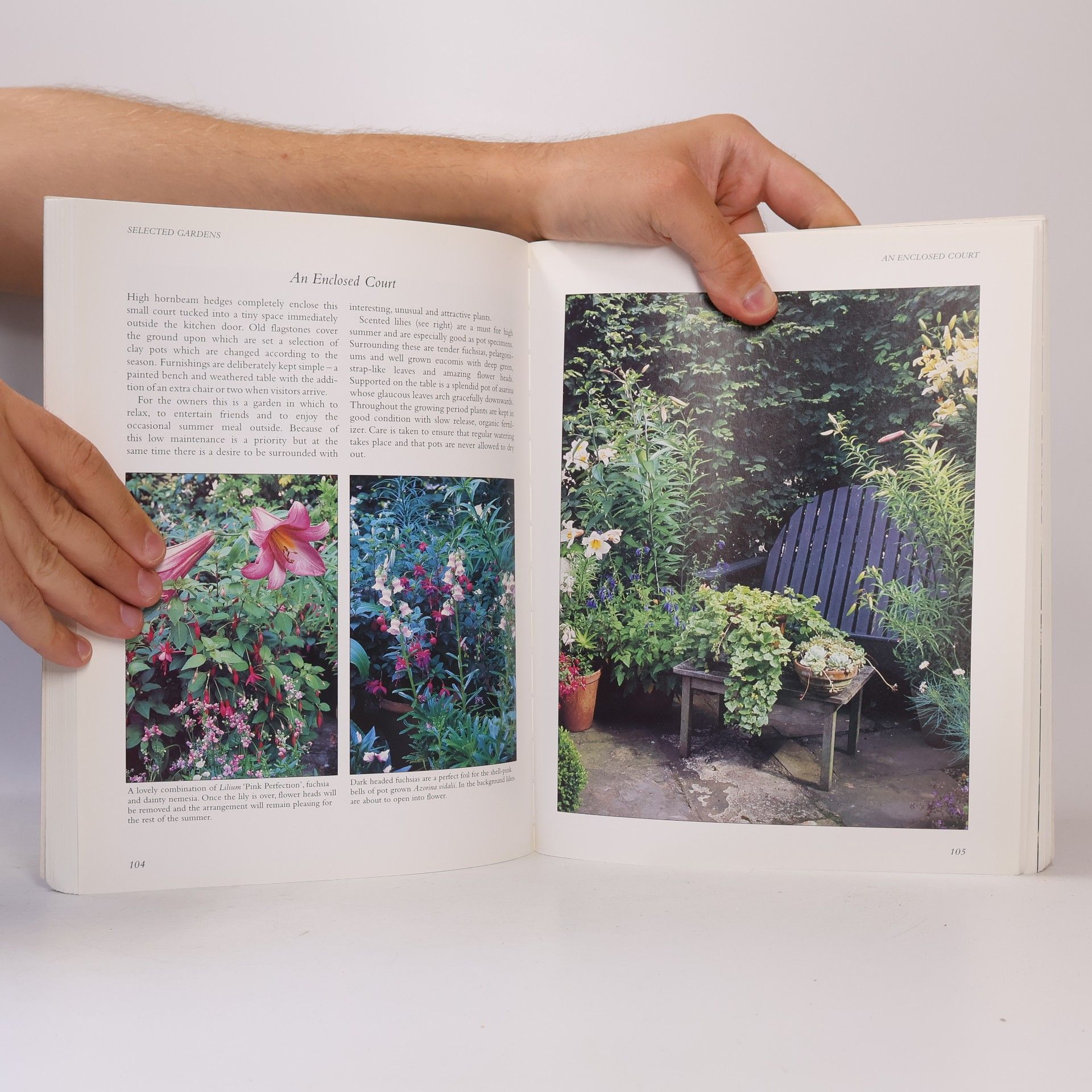 Lance Hattatt Gardening in a Small Space