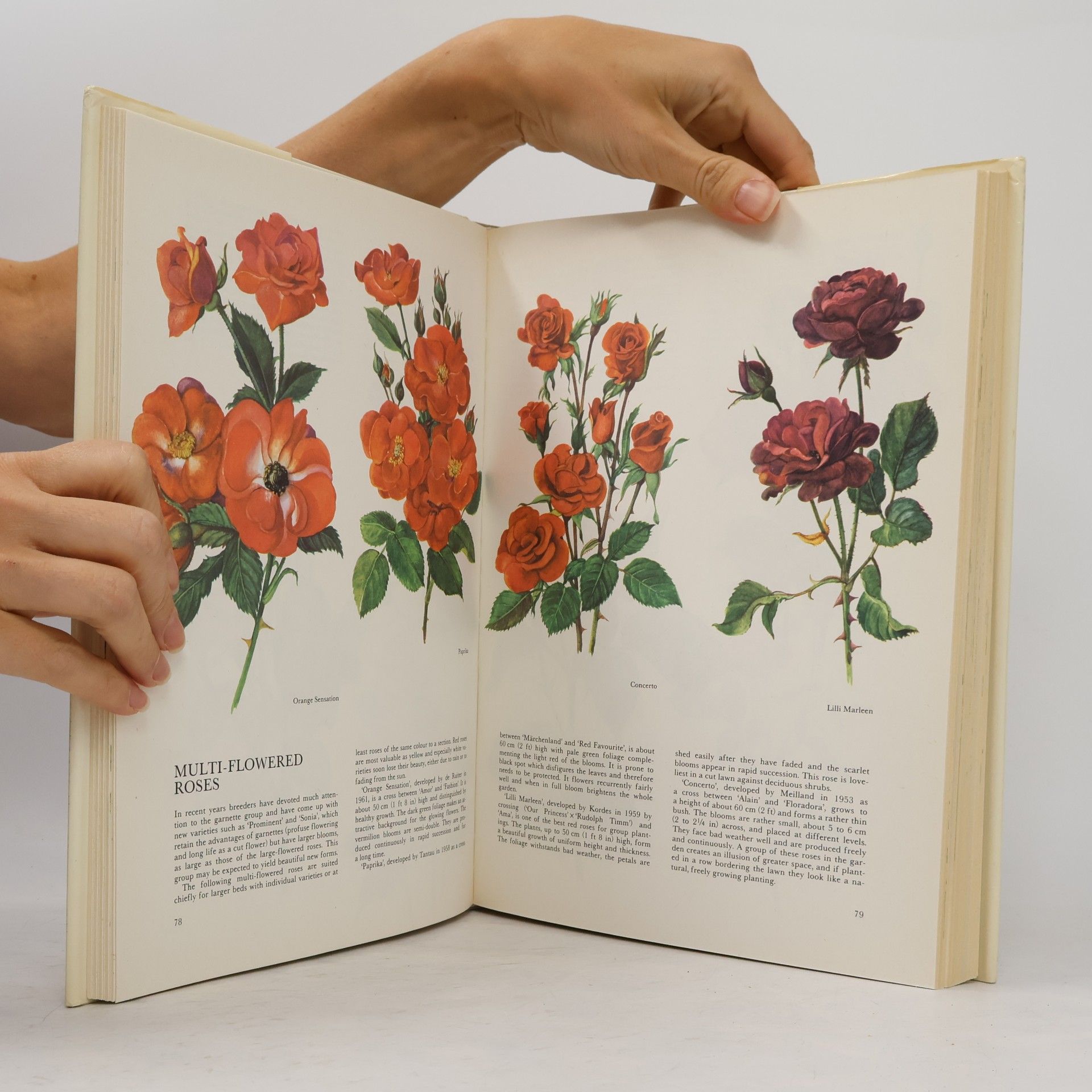 Vladimír Mölzer The Garden Flowers Book