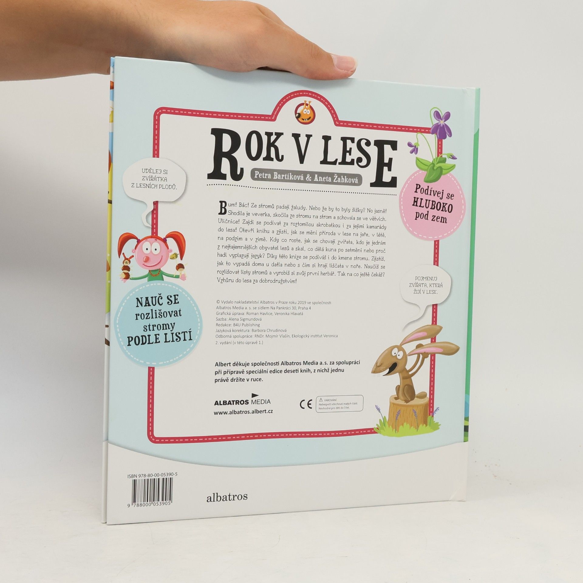 Kolektiv autorů Rok v lese