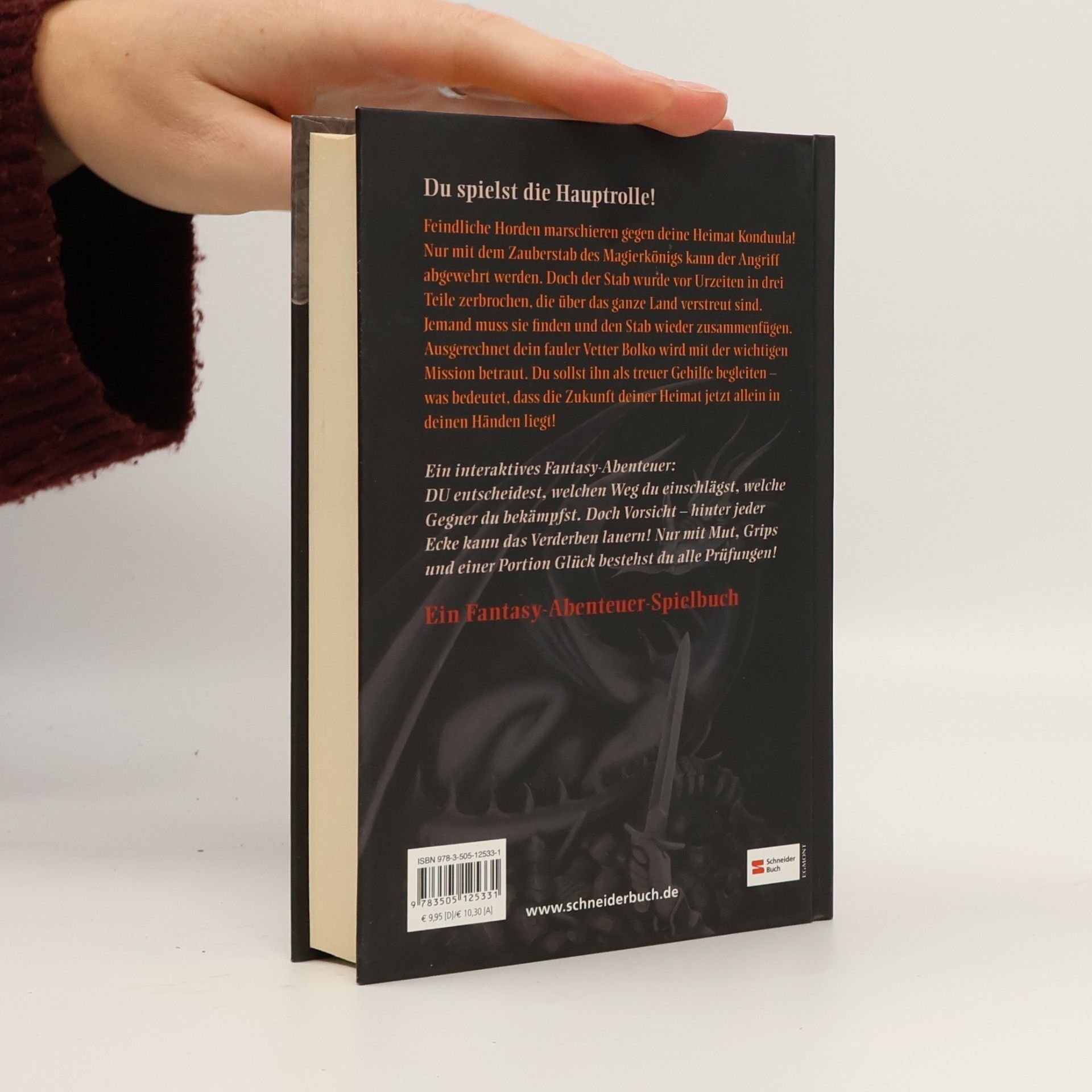 Jens Schumacher Die Welt der 1000 Abenteuer, Band 01. Das Vermächtnis des Zauberers