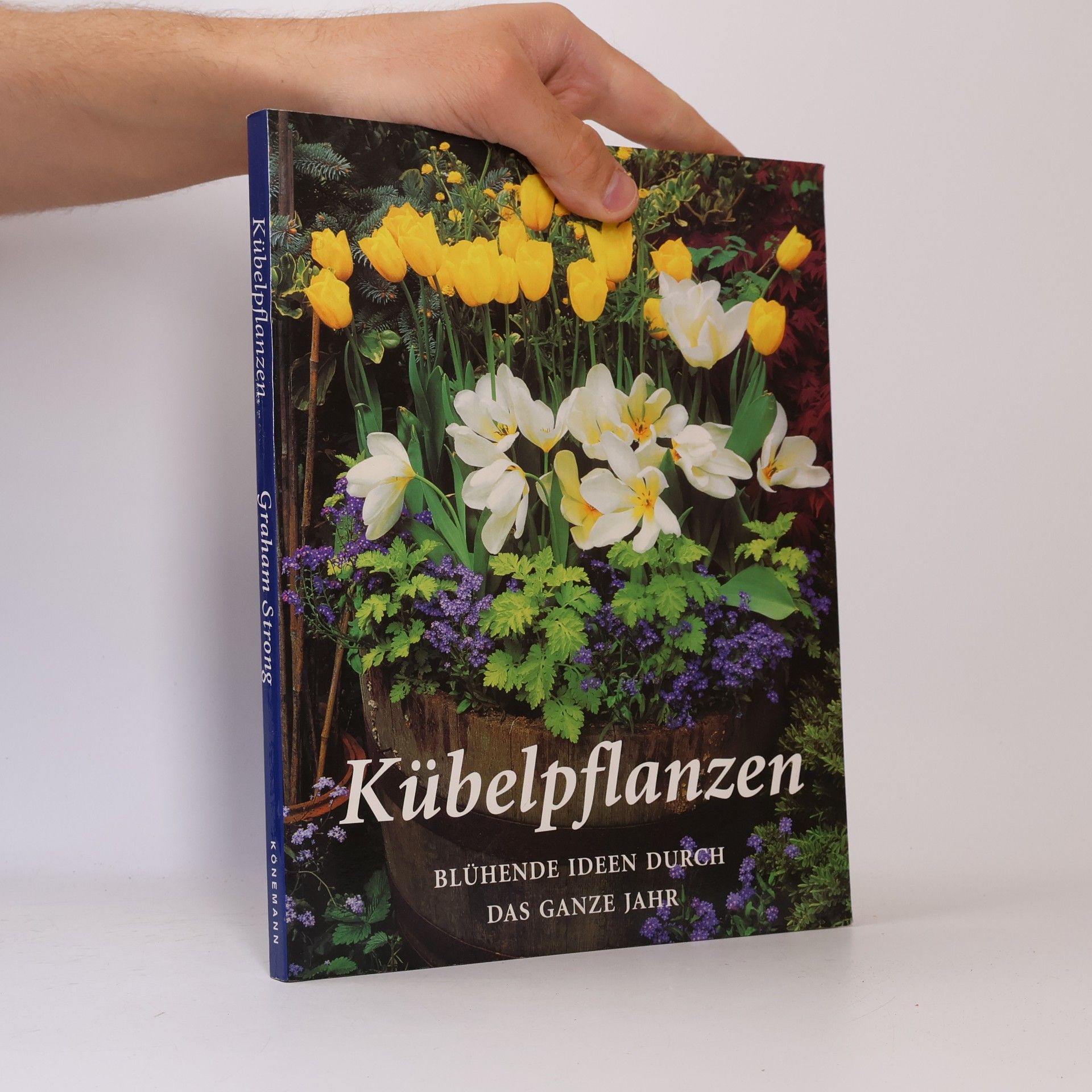 Kübelpflanzen