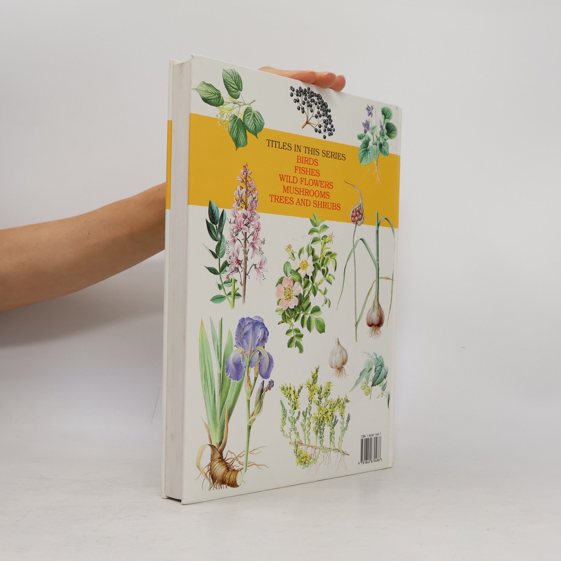 Jan Volák The Illustrated Book of Herbs