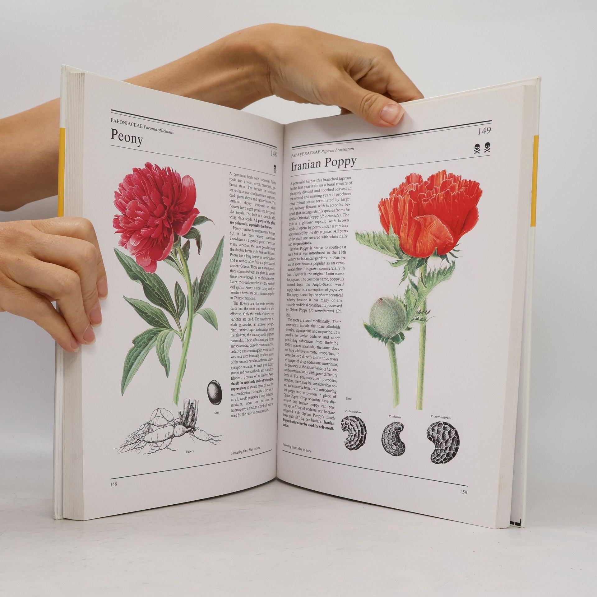 Jan Volák The Illustrated Book of Herbs