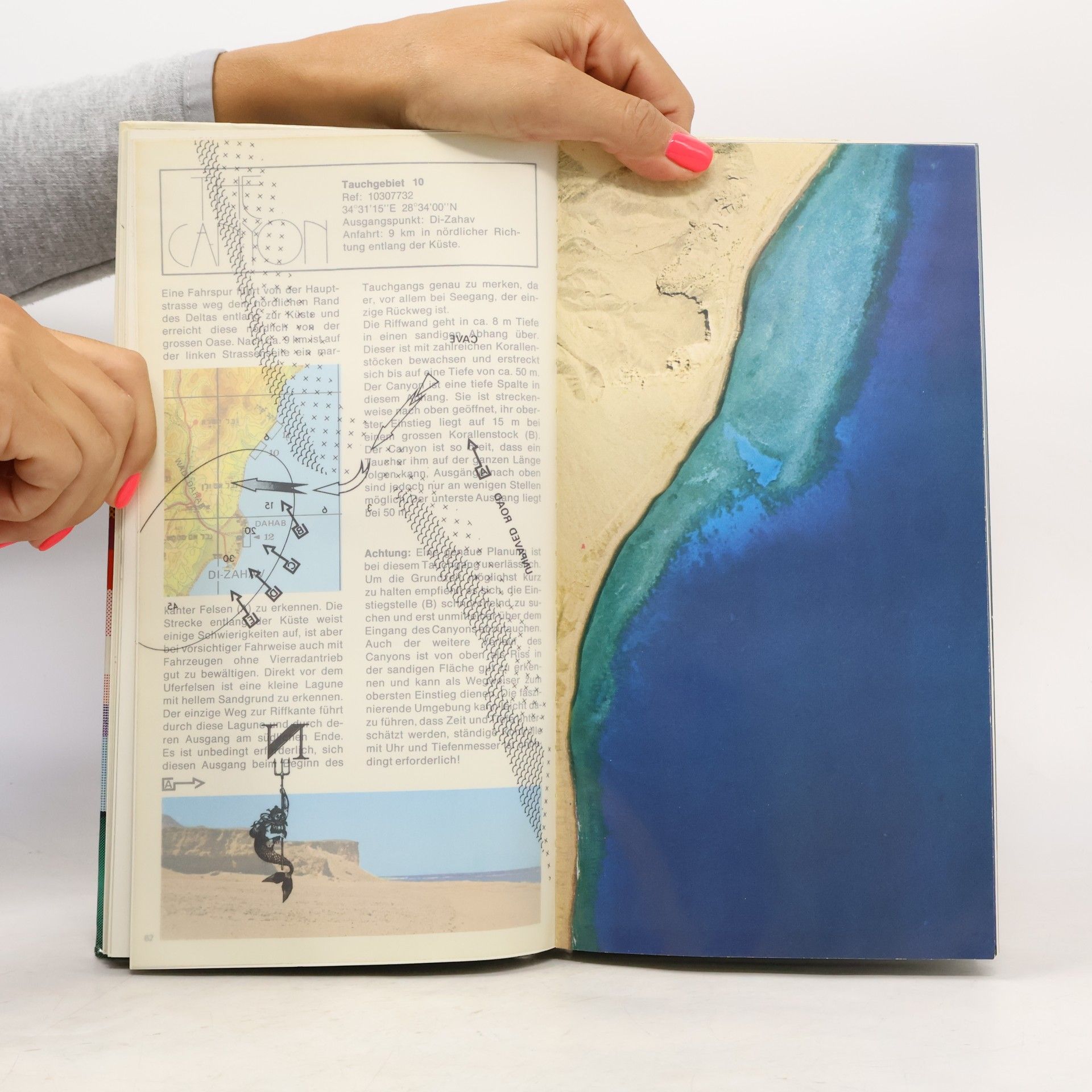 Shlomo Cohen Red Sea Diver's Guide