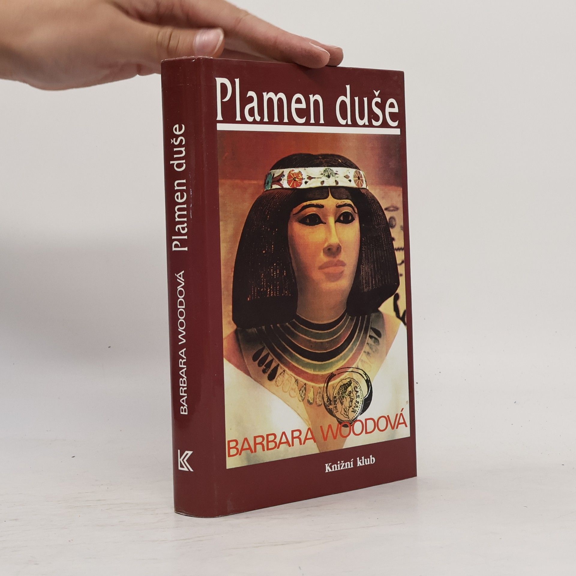 Barbara Wood Plamen duše
