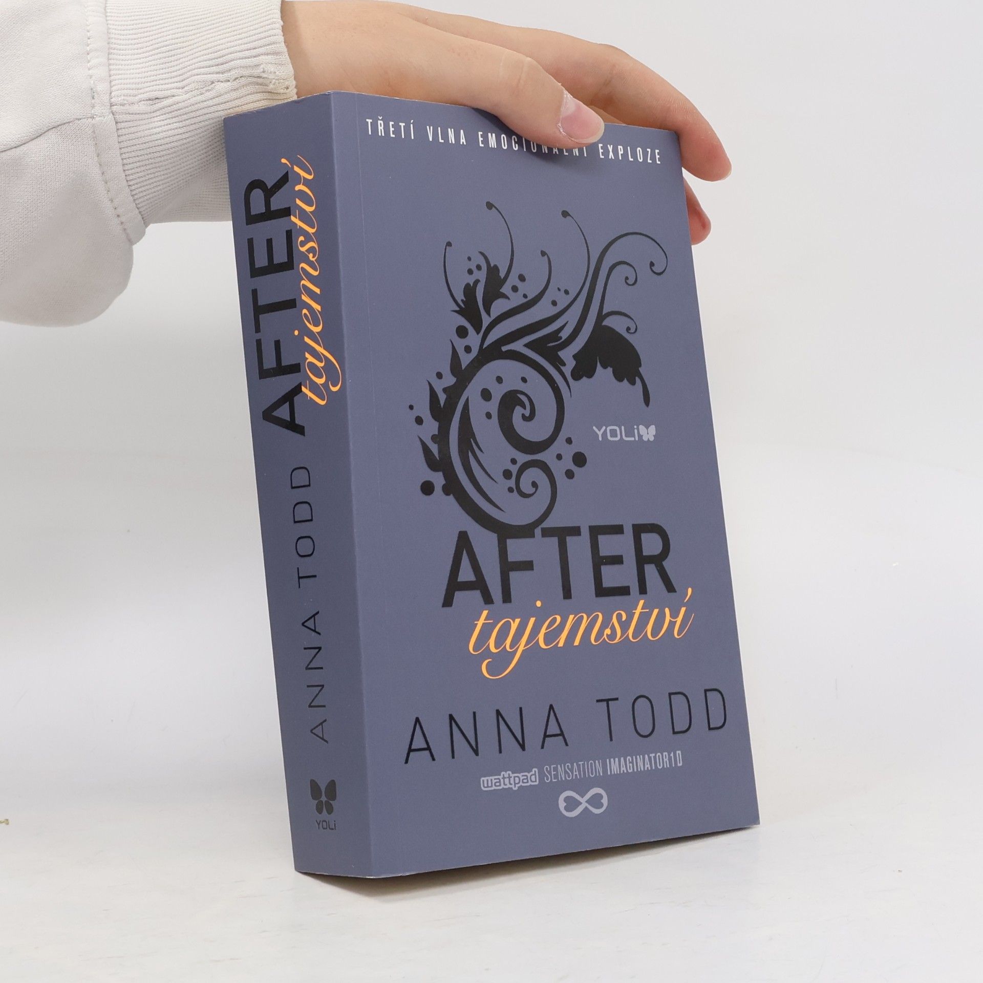 Anna Todd After. Tajemství