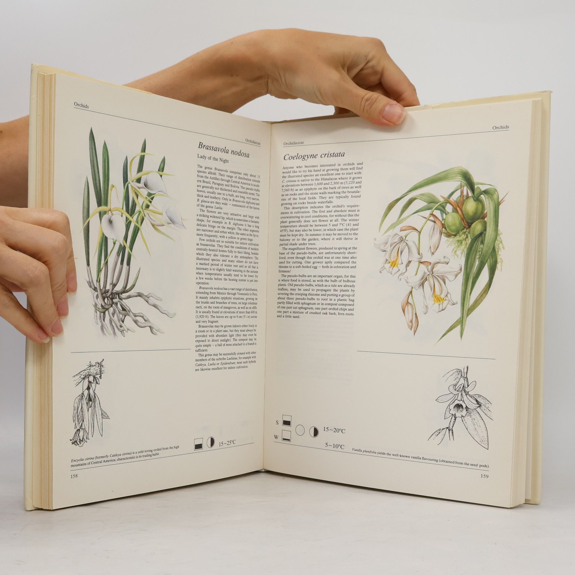 Jiří R. Haager The House Plants Book