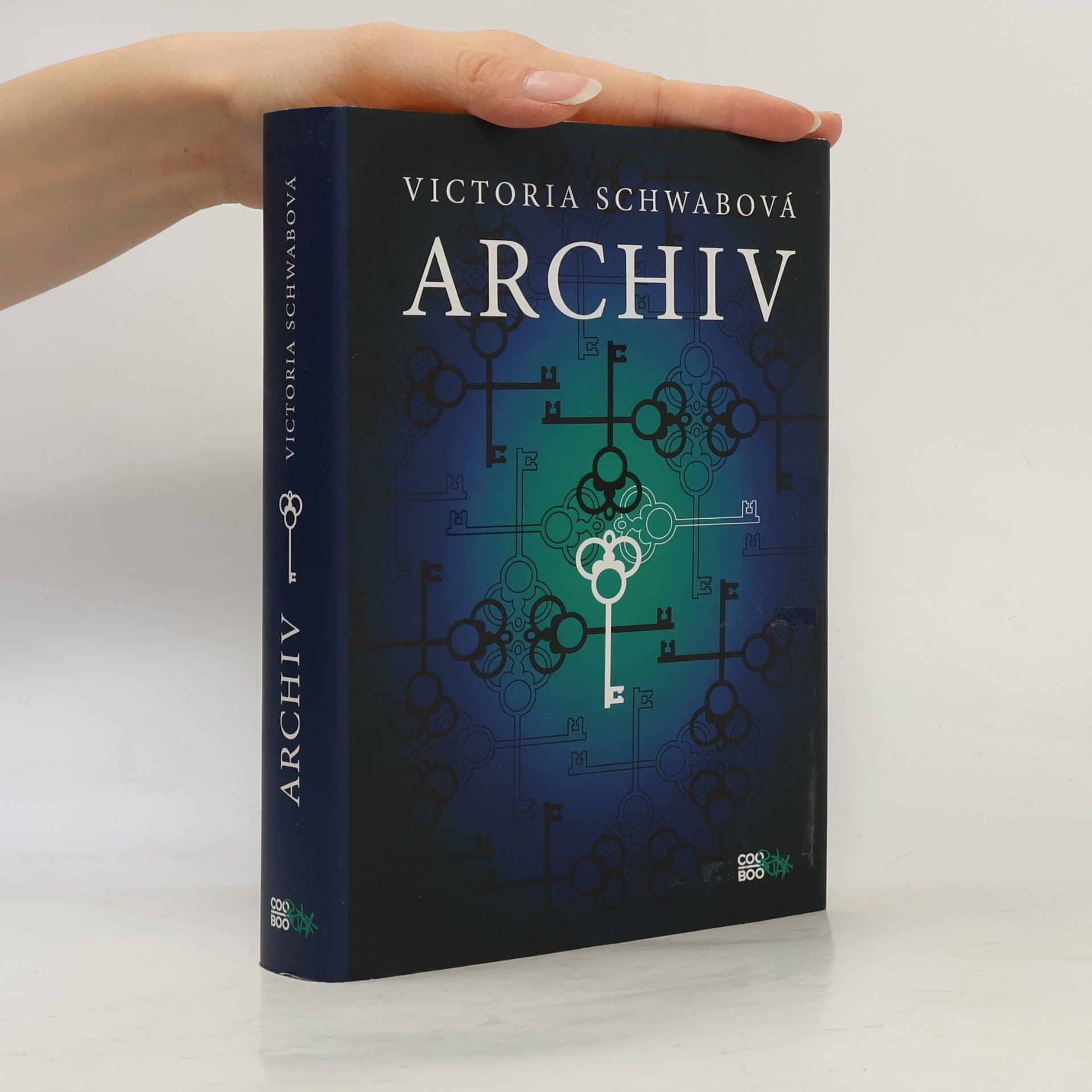 V. E. Schwab Archiv