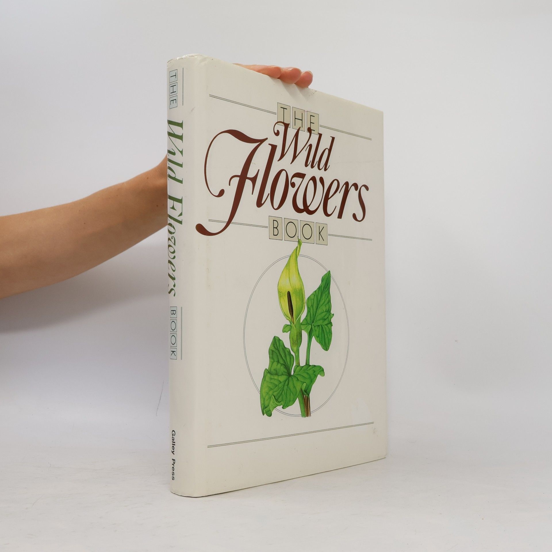 Eliška Tomanová The Wild Flowers Book