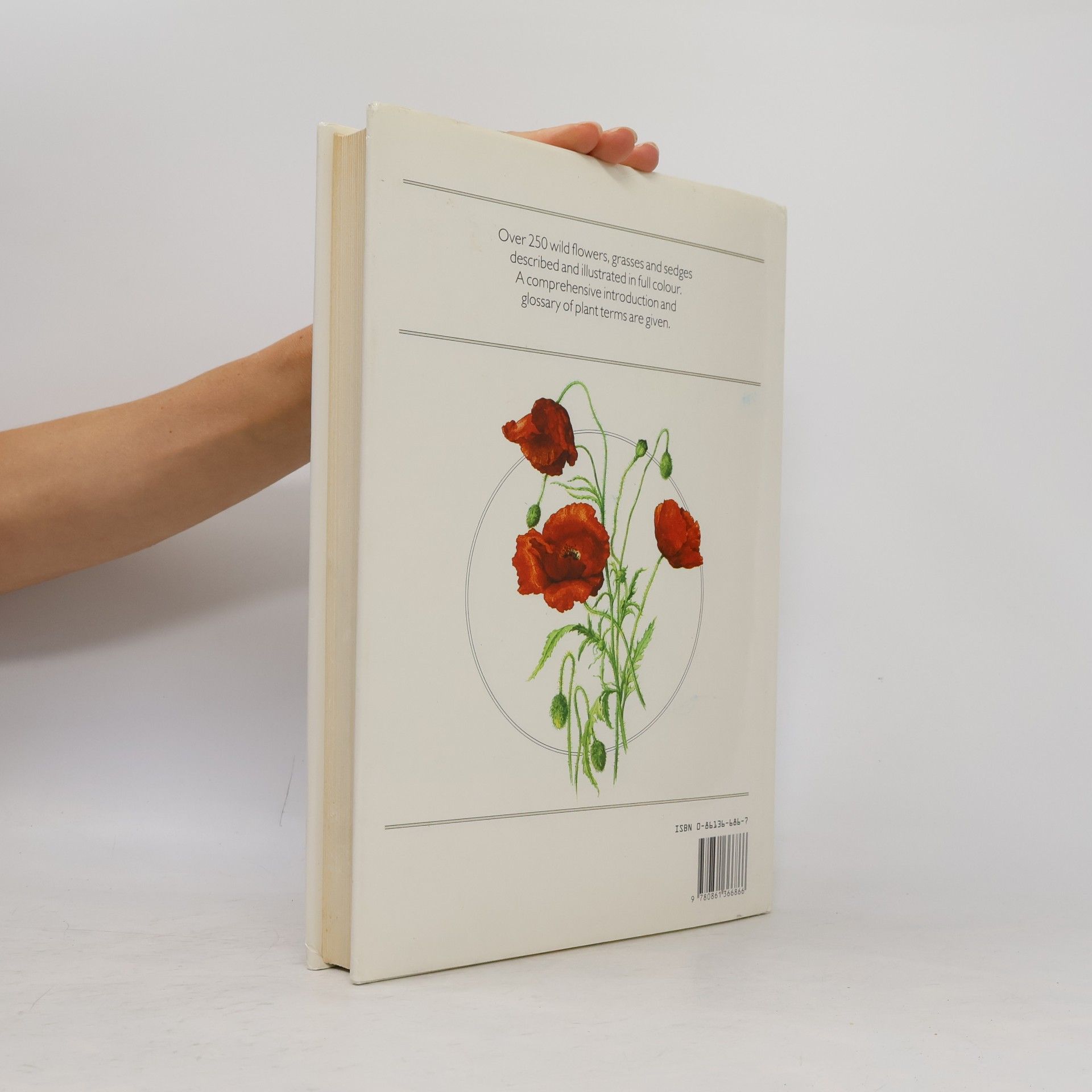 Eliška Tomanová The Wild Flowers Book