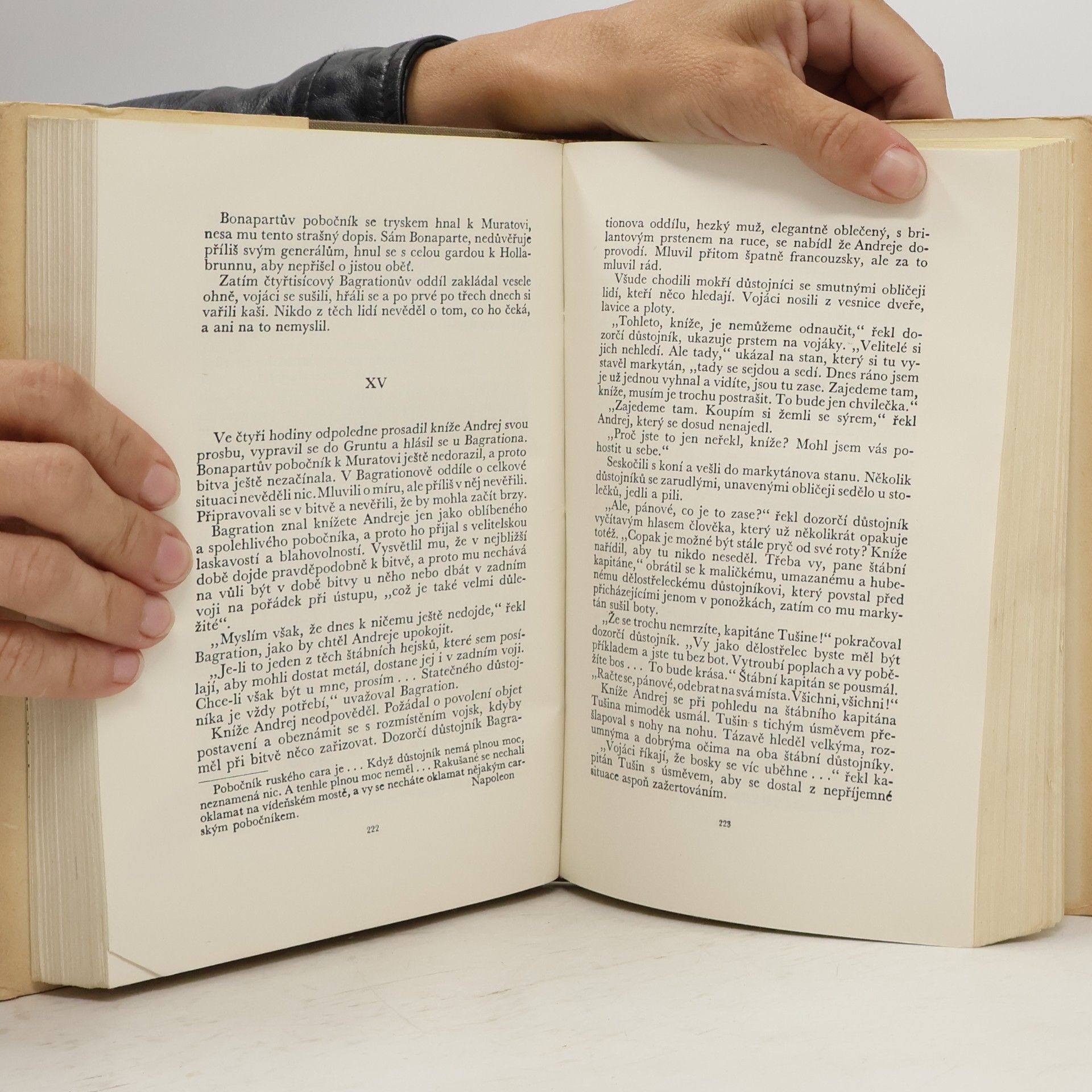 Lew Nikolajewitsch Tolstoi Vojna a mír 1