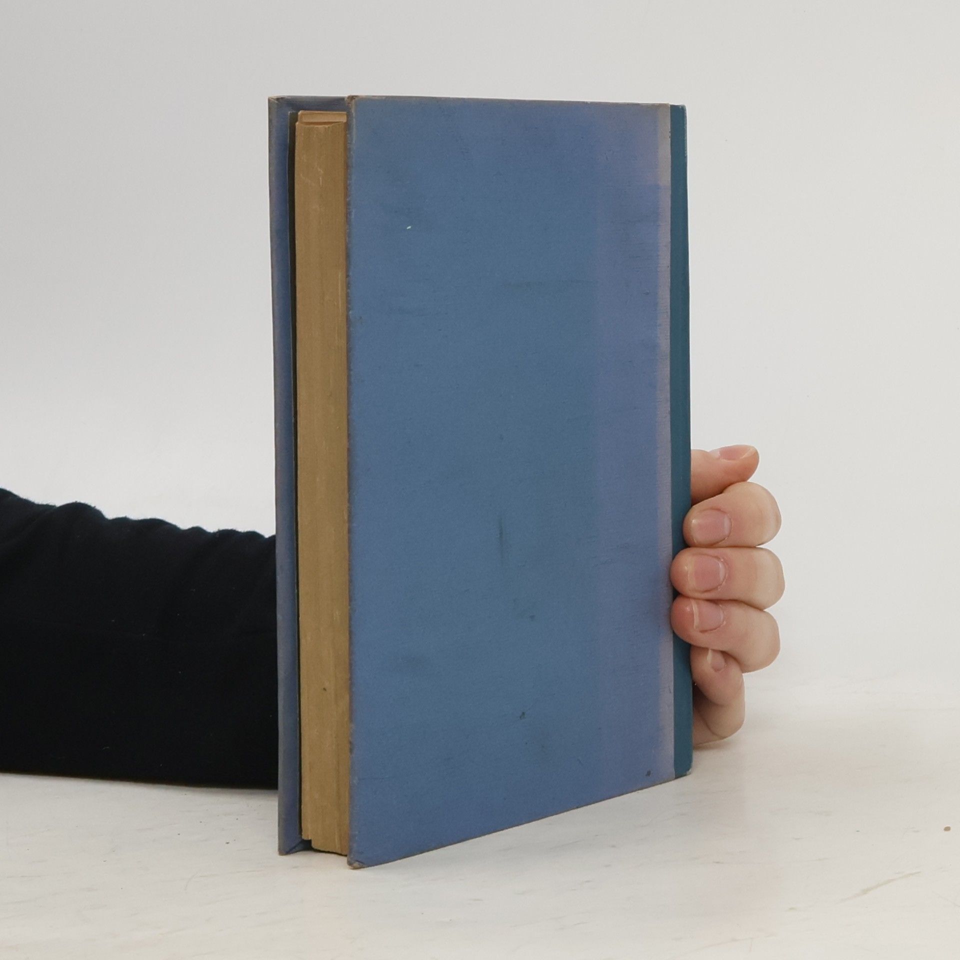 Wendelin Meyer Die Psalmen, des priesters Betrachtungsbuch 1