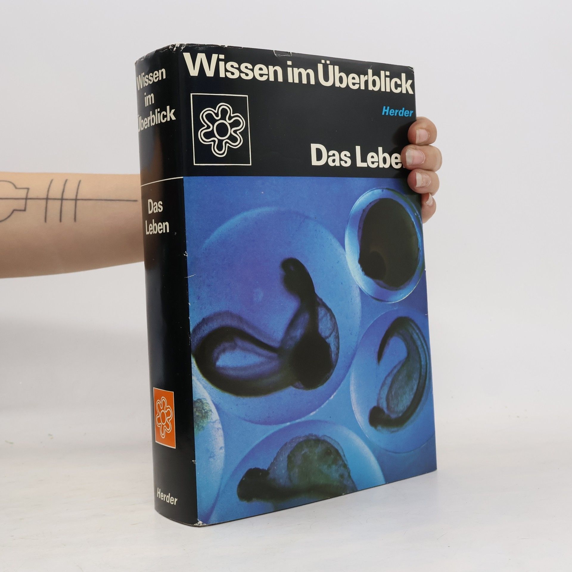Autores varios Wissen in Überblick. Das Leben