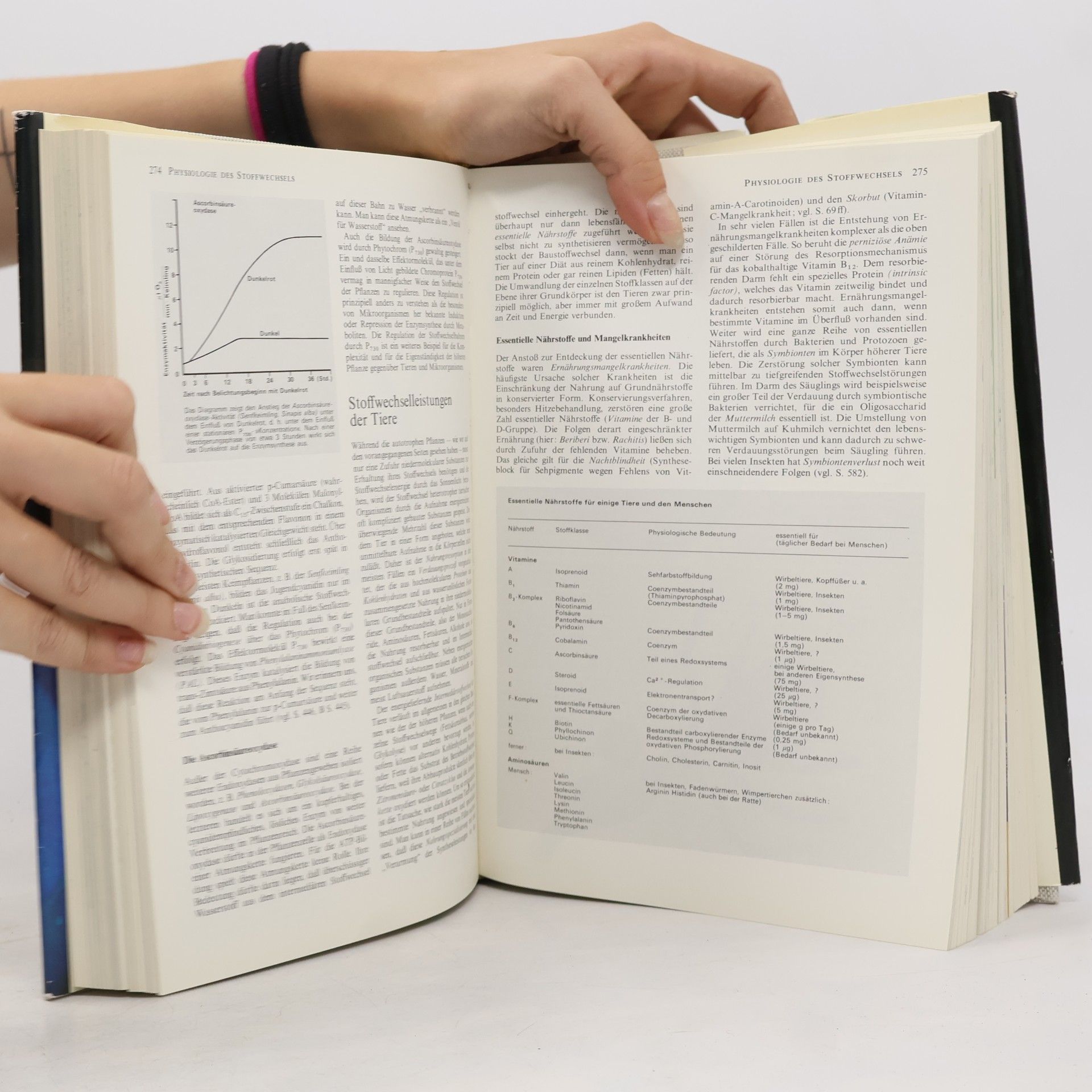 Various authors Wissen in Überblick. Das Leben