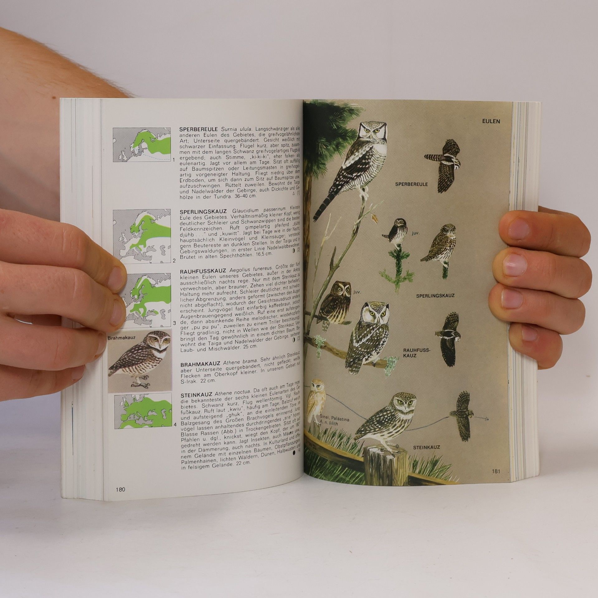 Hermann Heinzel Pareys Vogelbuch