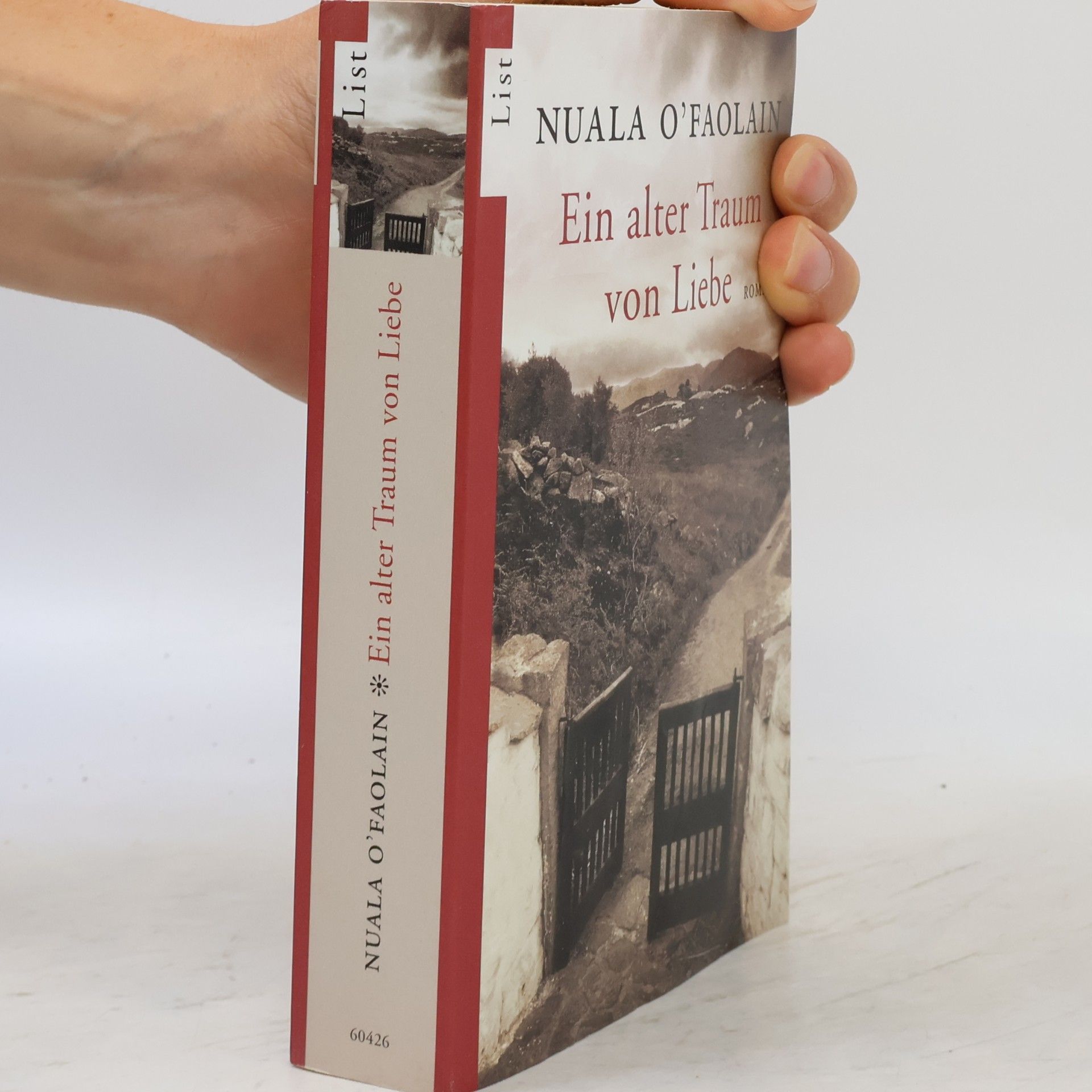 Nuala O. Faolain Ein alter Traum von Liebe
