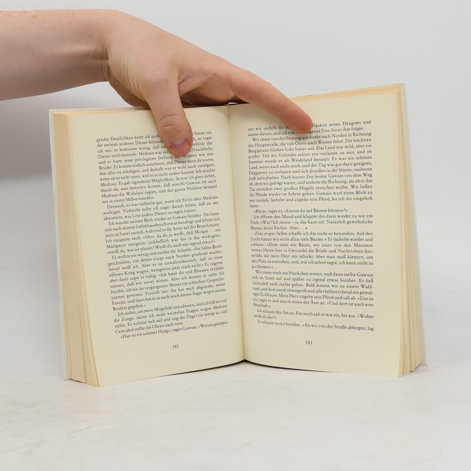 Gillian Bradshaw Das Königreich des Sommers