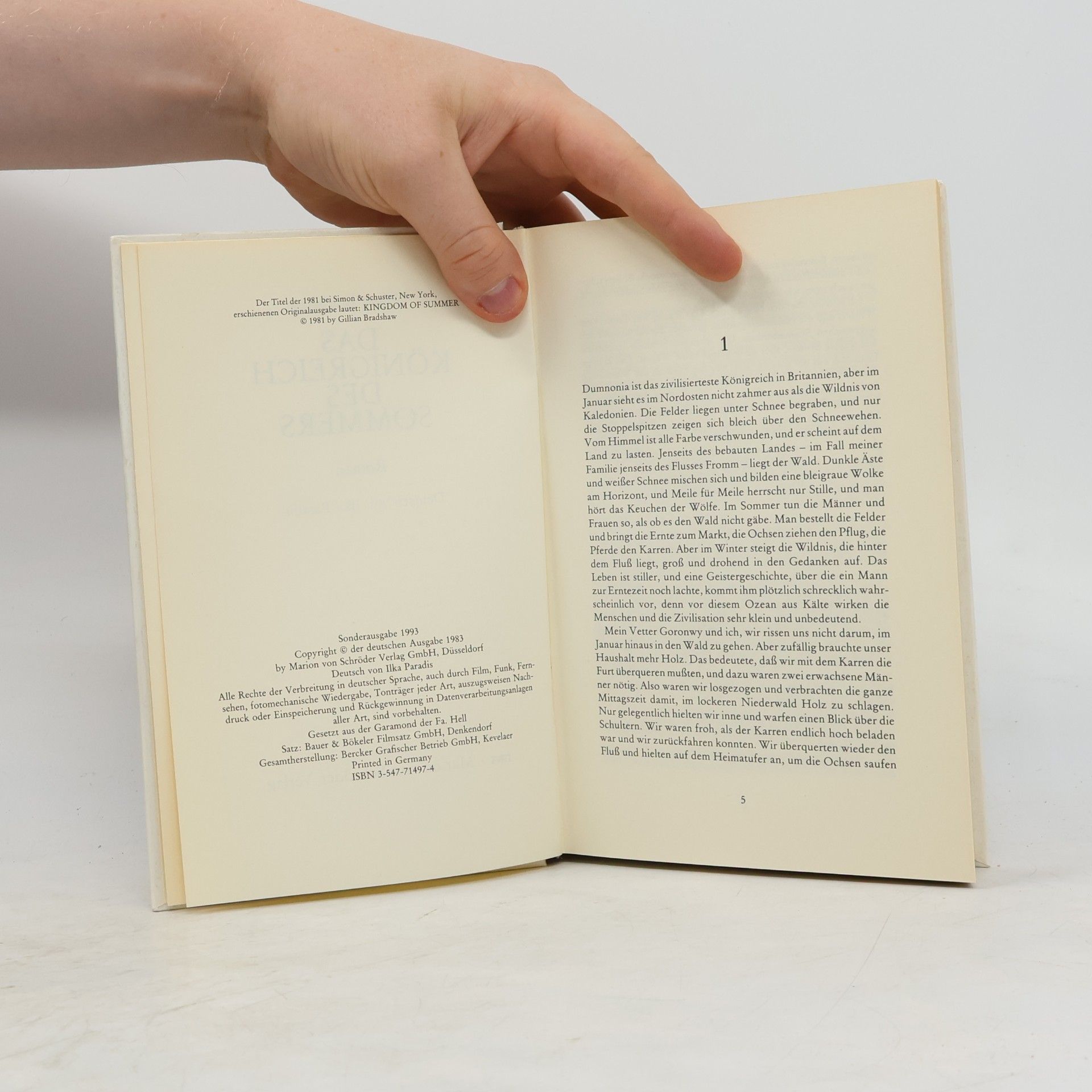 Gillian Bradshaw Das Königreich des Sommers