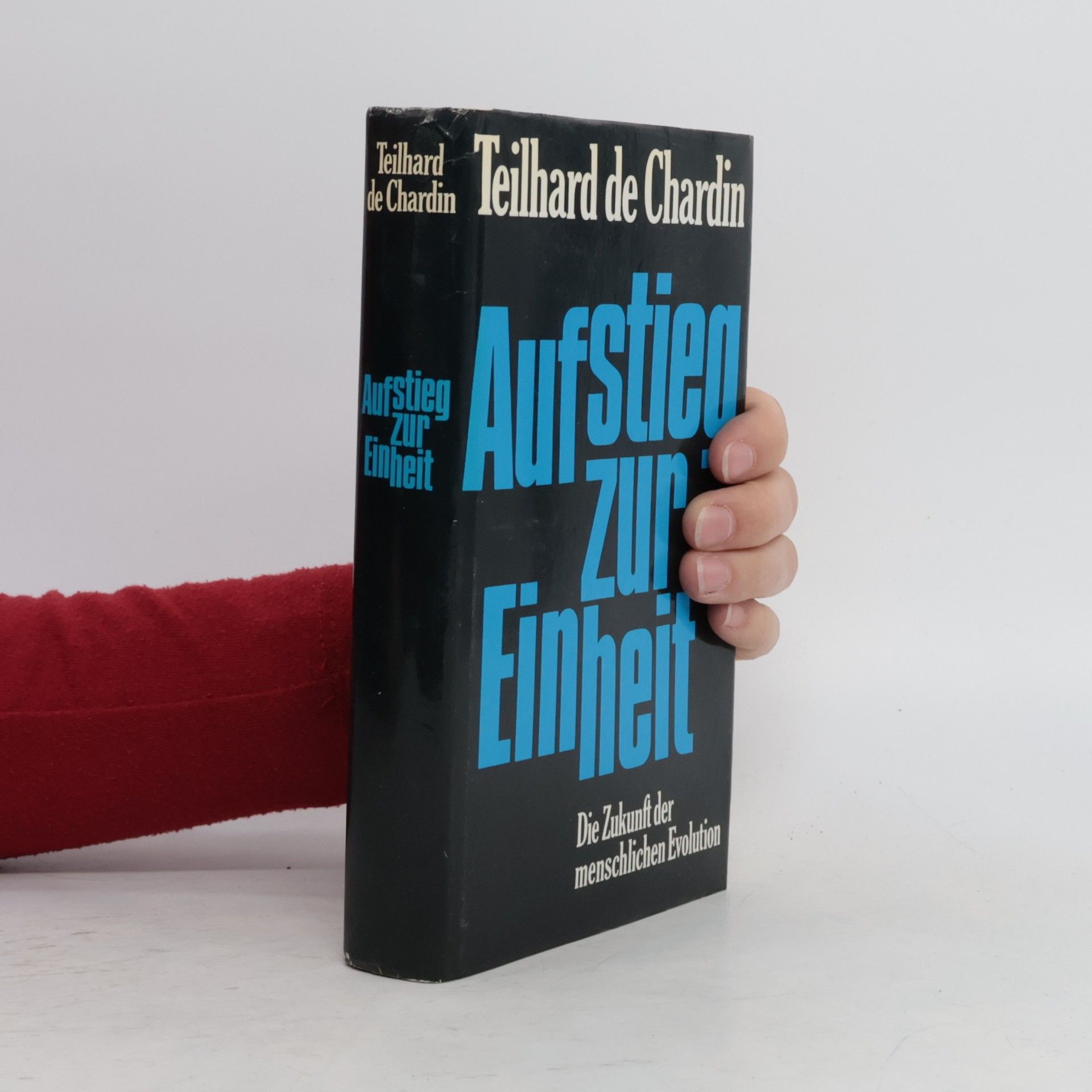 Aufstieg zur Einheit