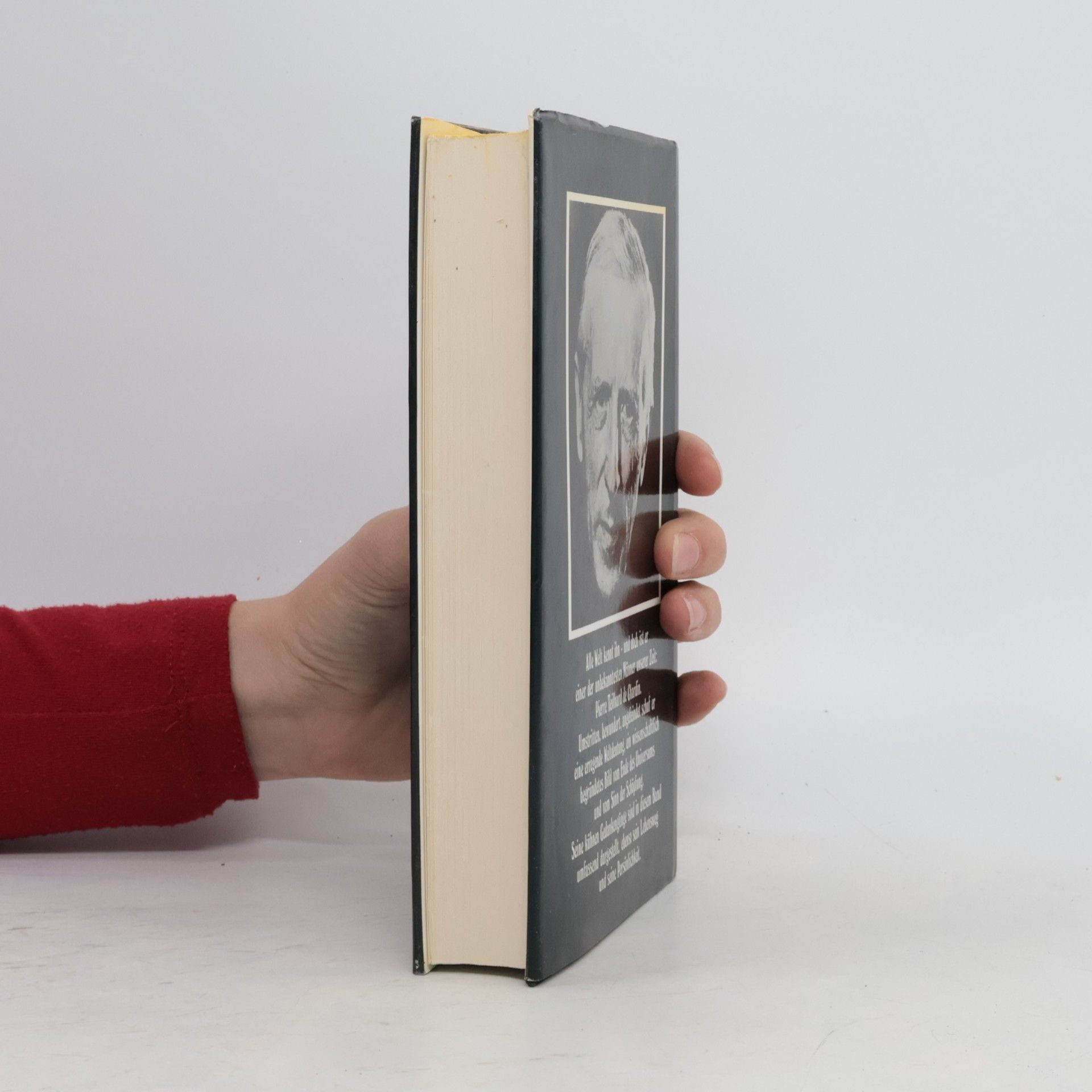Teilhard de Chardin Aufstieg zur Einheit