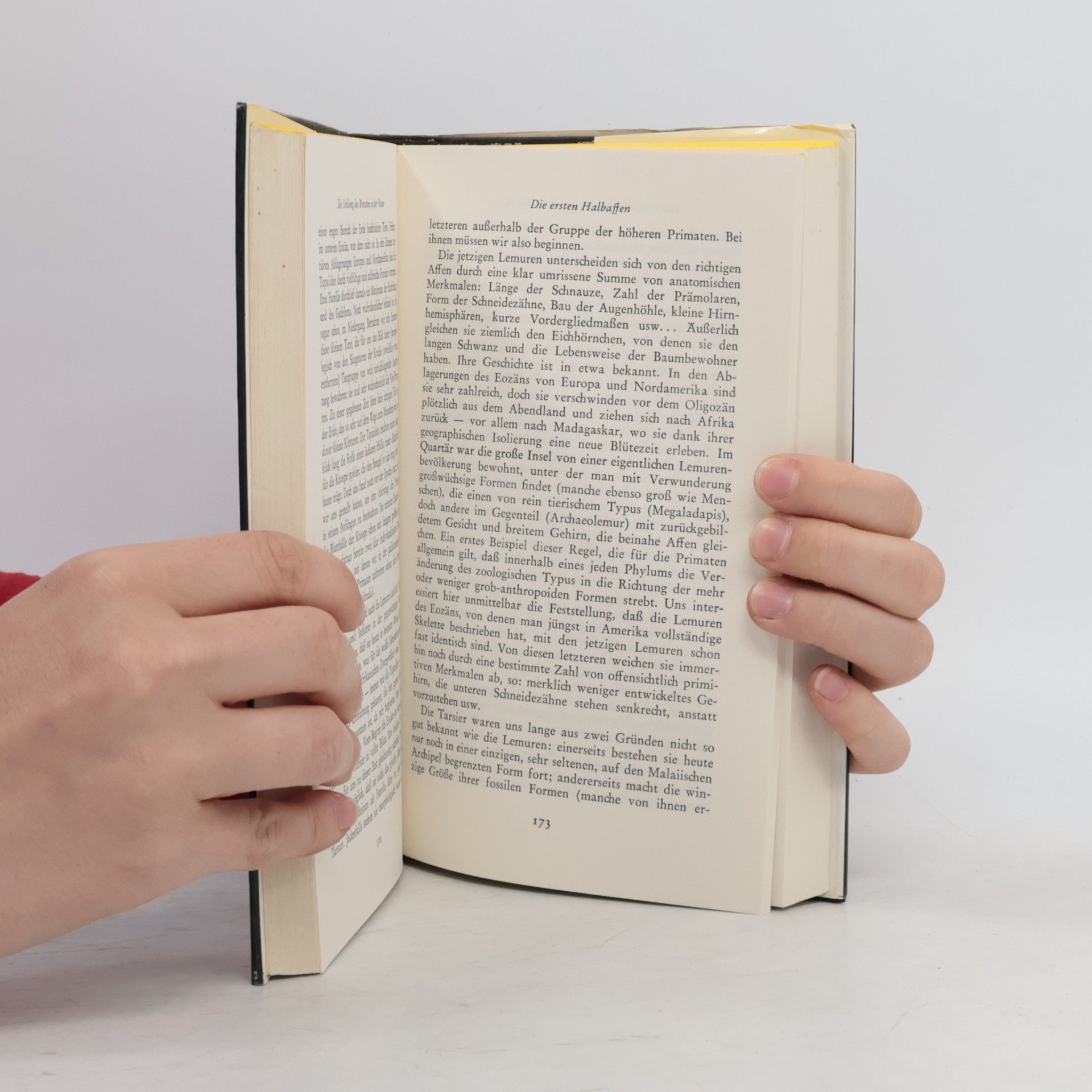 Teilhard de Chardin Aufstieg zur Einheit