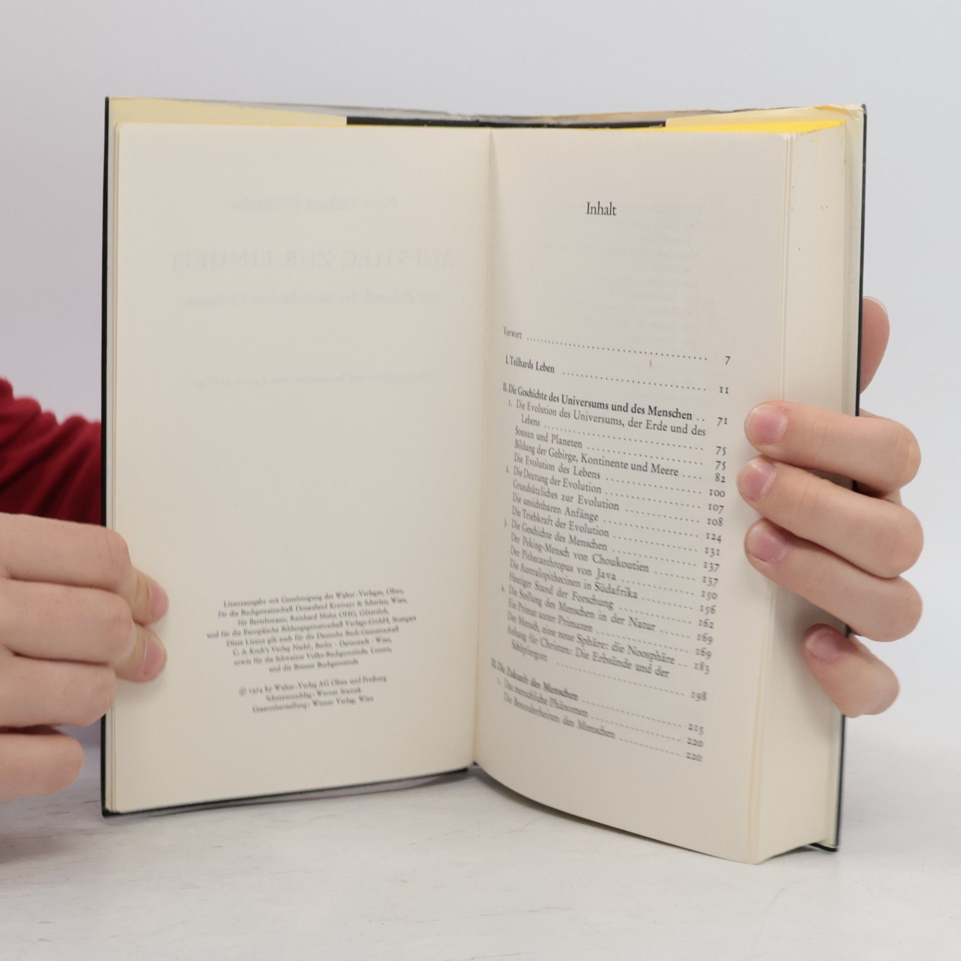 Teilhard de Chardin Aufstieg zur Einheit