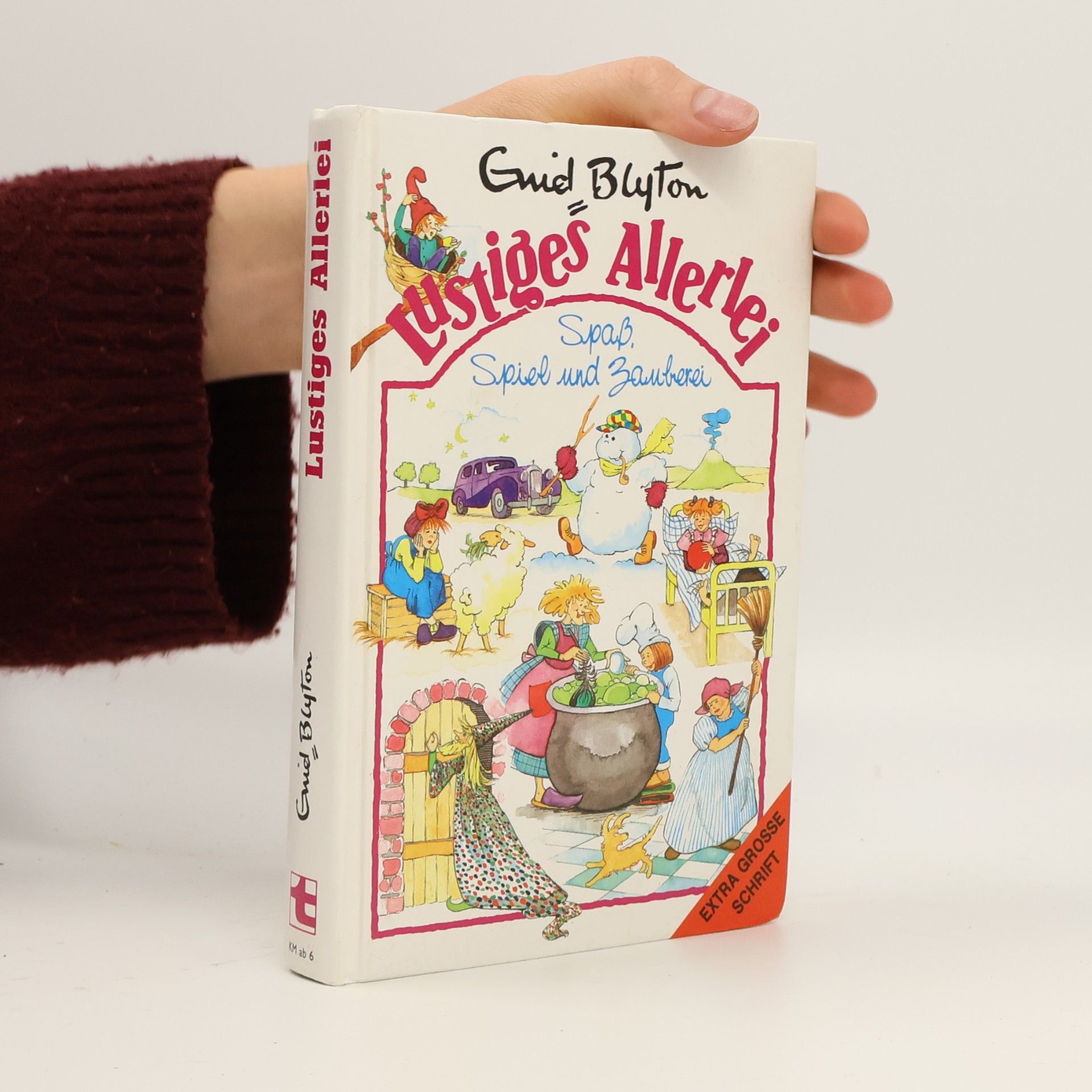 Enid Blyton Lustiges Allerlei