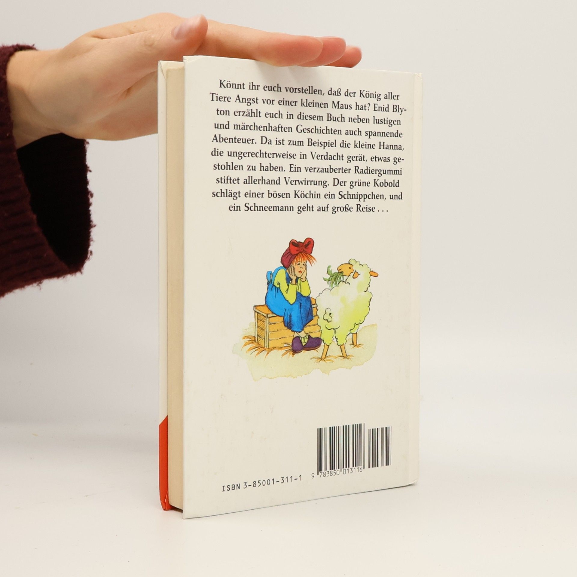 Enid Blyton Lustiges Allerlei