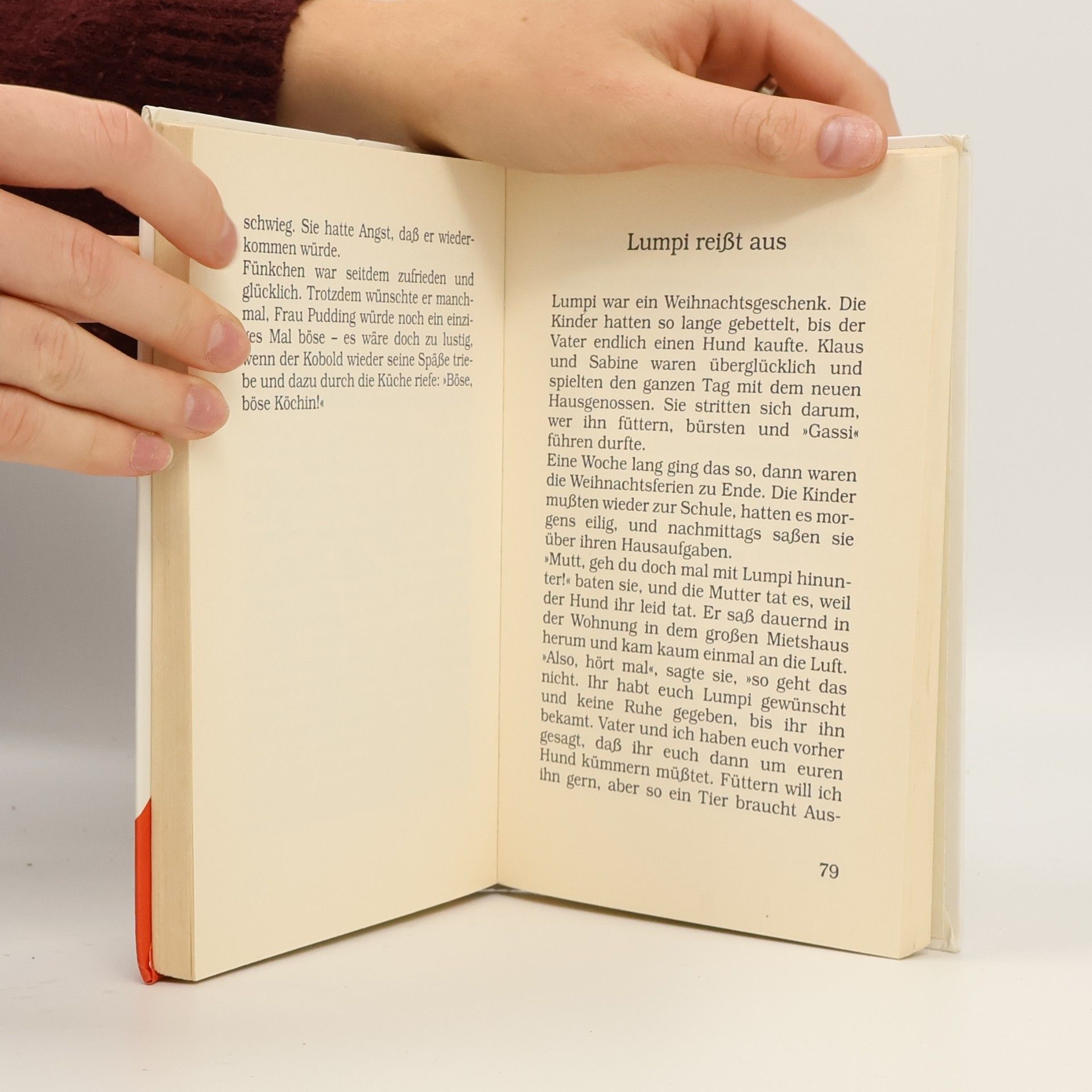 Enid Blyton Lustiges Allerlei