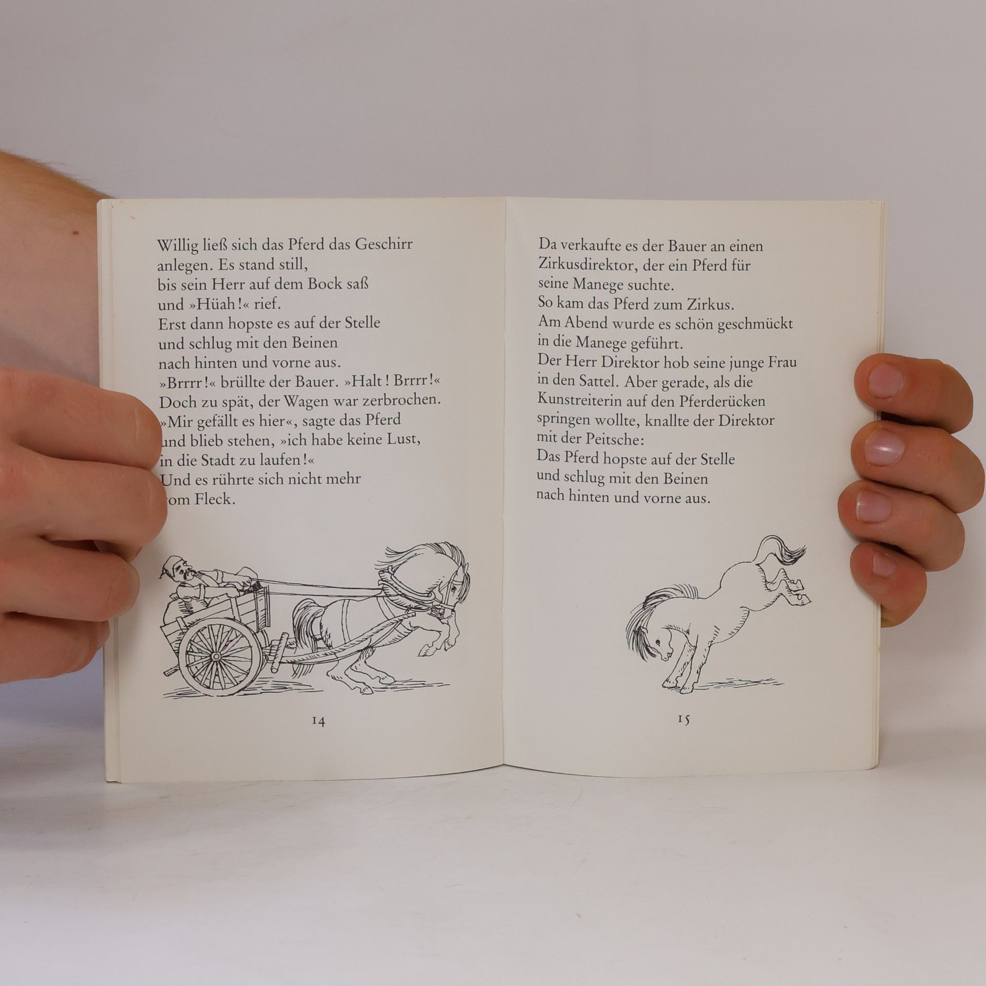 Sigrid Heuck Teddybär und Schaukelpferd und andere Geschichten