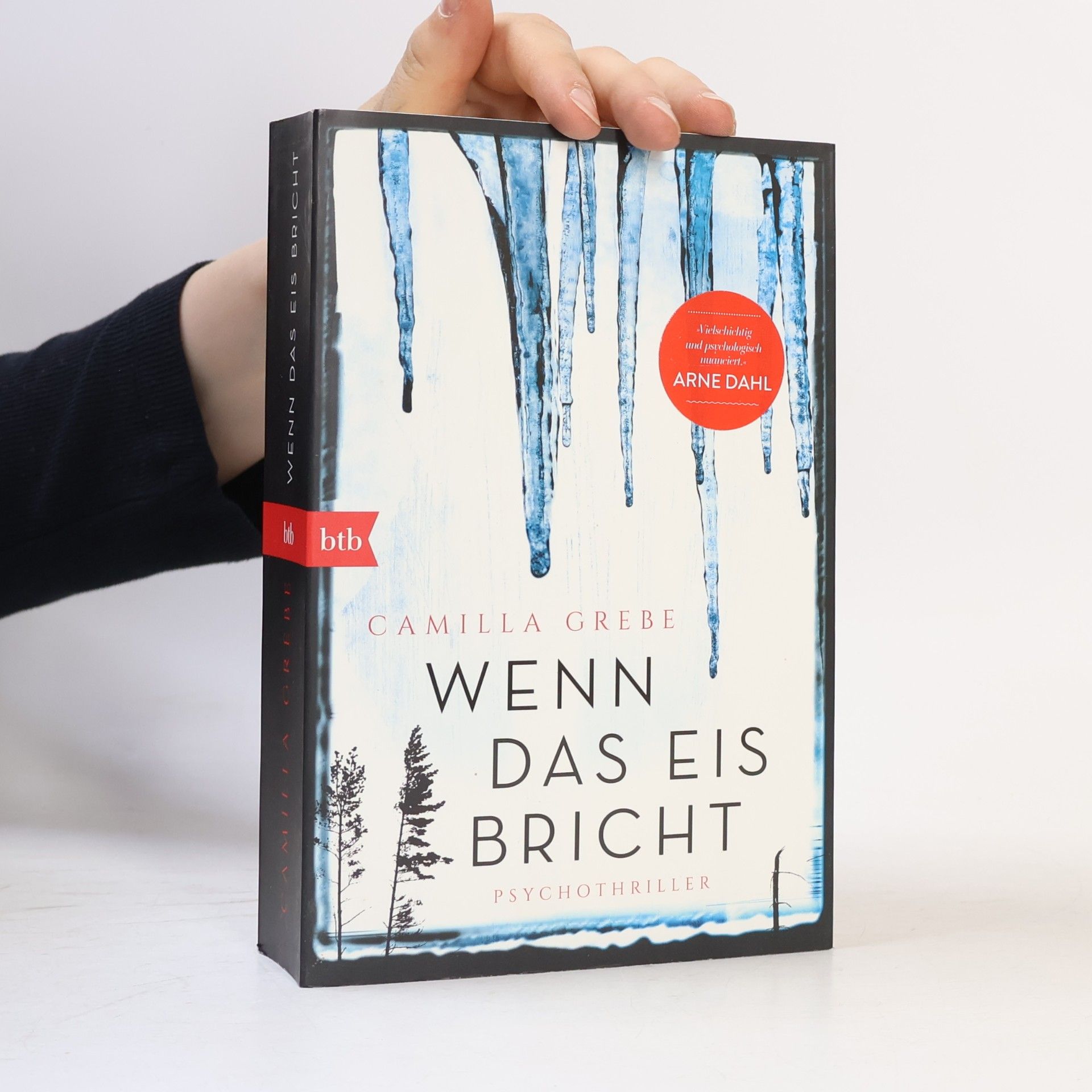 Camilla Grebe Wenn das Eis bricht
