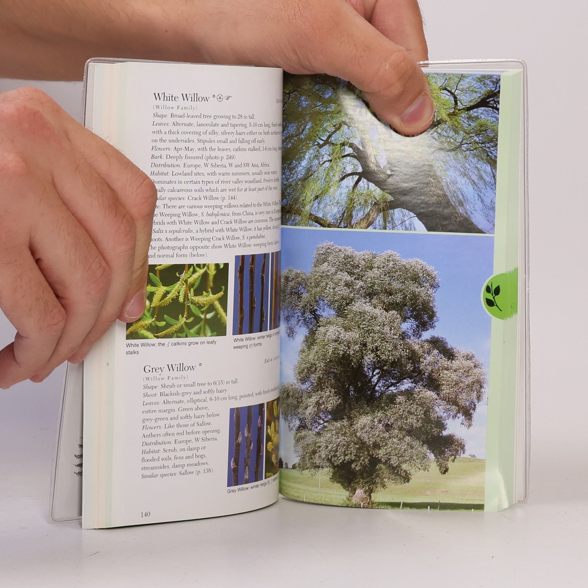 Gregor Aas Trees of Britain & Europe