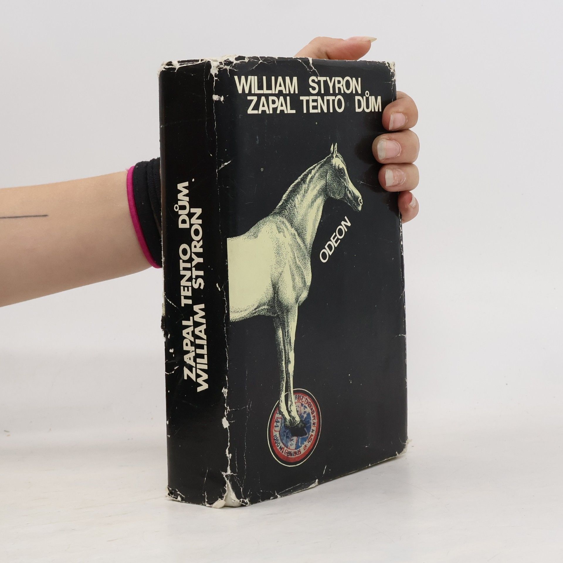 William Styron Zapal tento dům