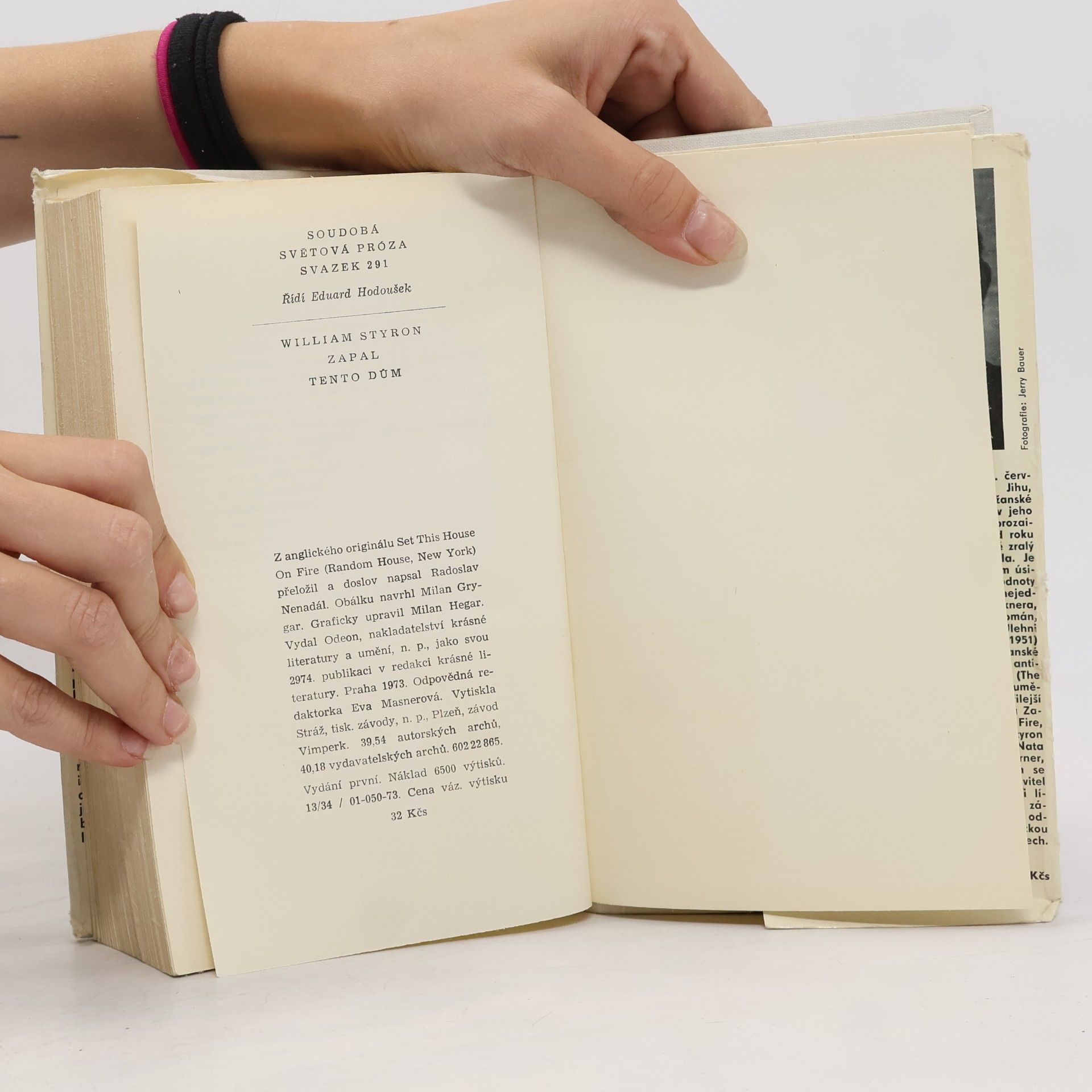 William Styron Zapal tento dům