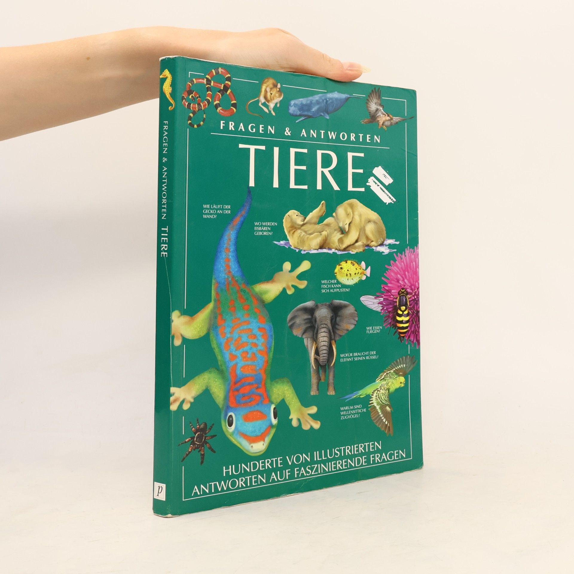 Nazire Ergün Tiere