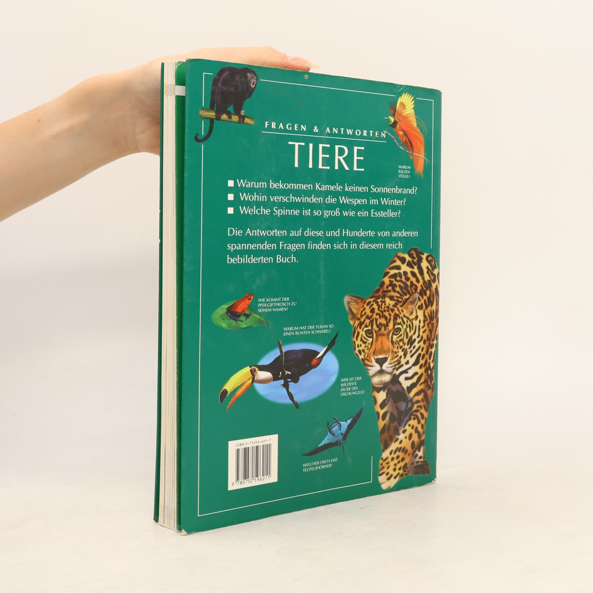 Nazire Ergün Tiere