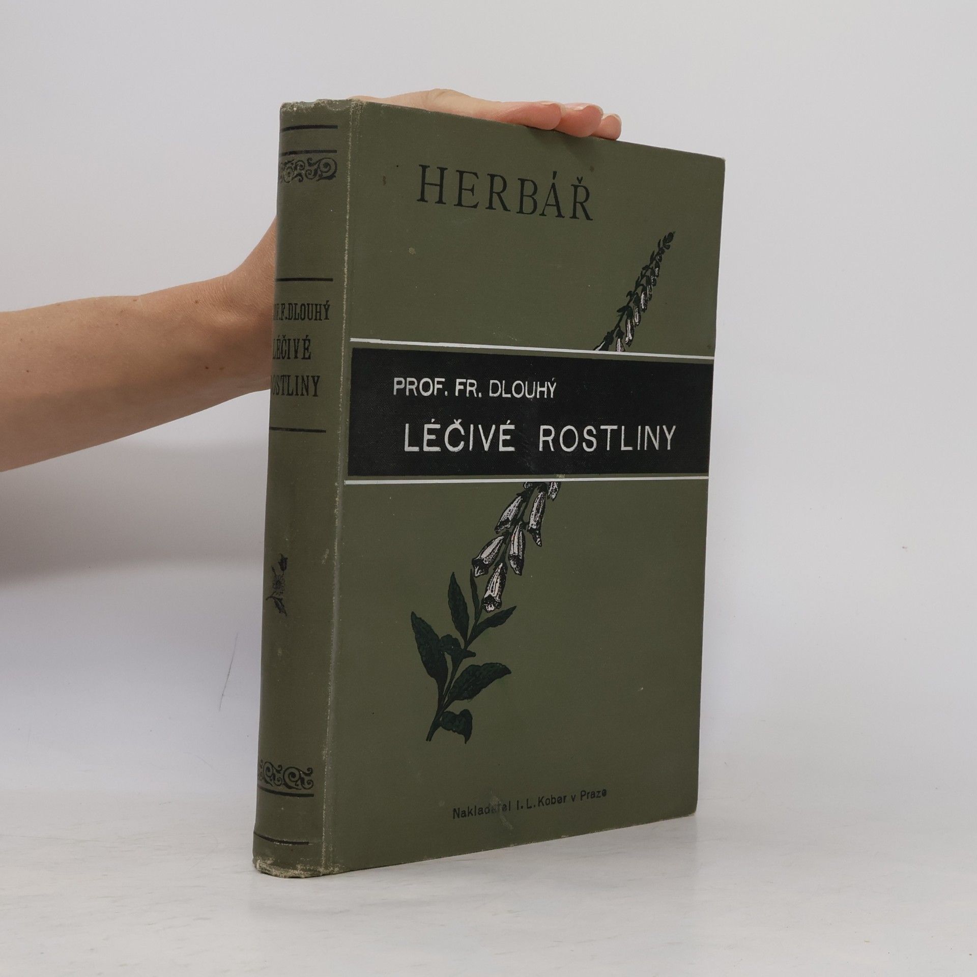 František Dlouhý Léčivé rostliny. Herbář