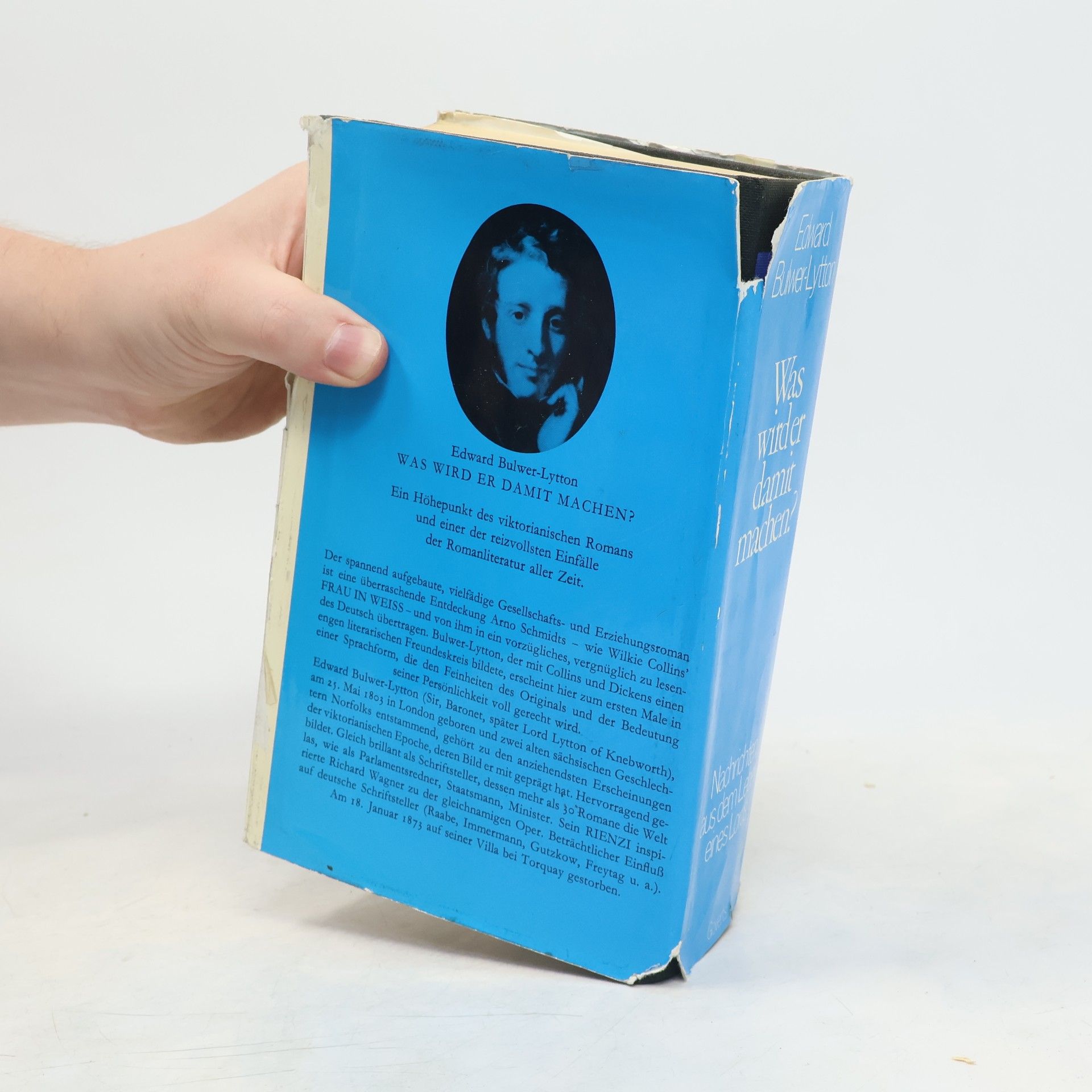 Edward Bulwer-Lytton Was wird er damit machen. Nachrichten aus dem Leben eines Lords