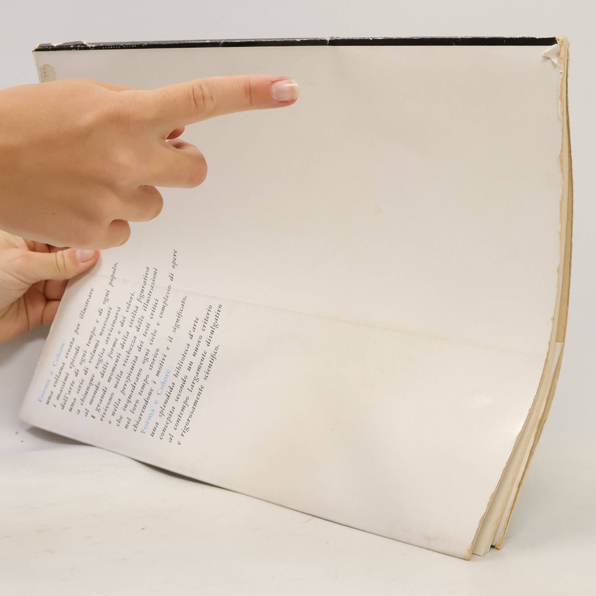 Autorenkollektiv  Forma e Coloe. La Pala d'Oro di San Marco