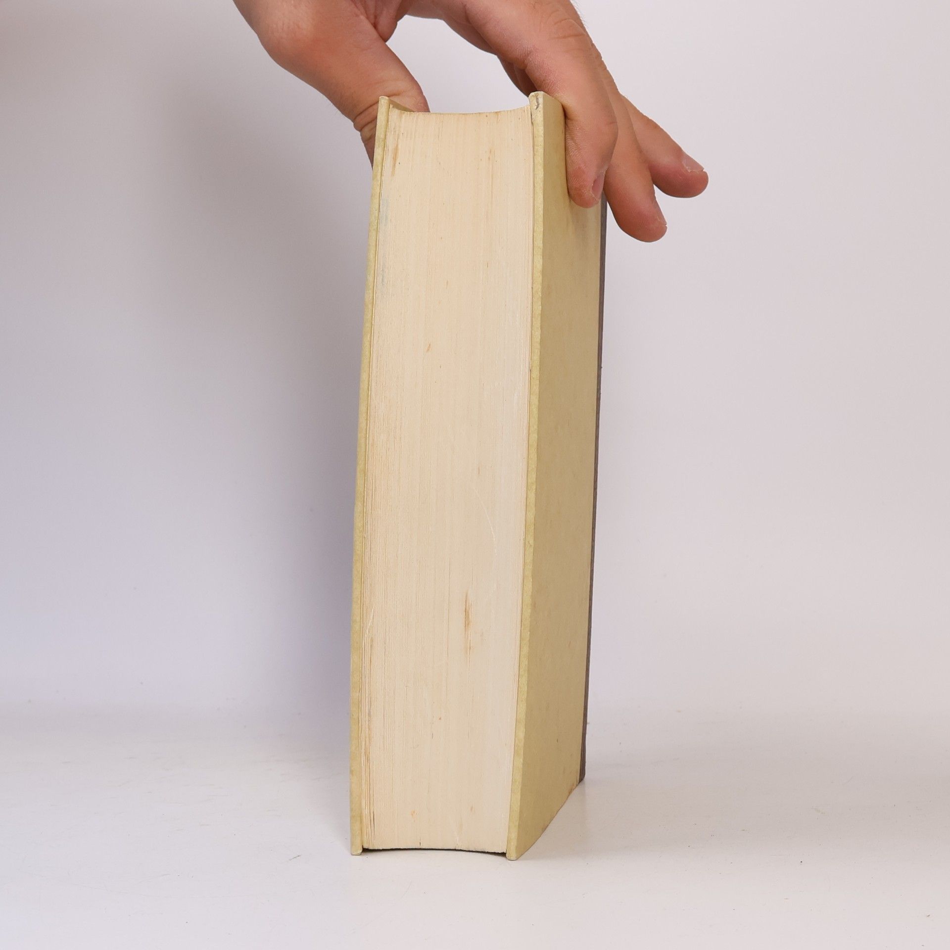 Stefan Zweig Baumeister der Welt