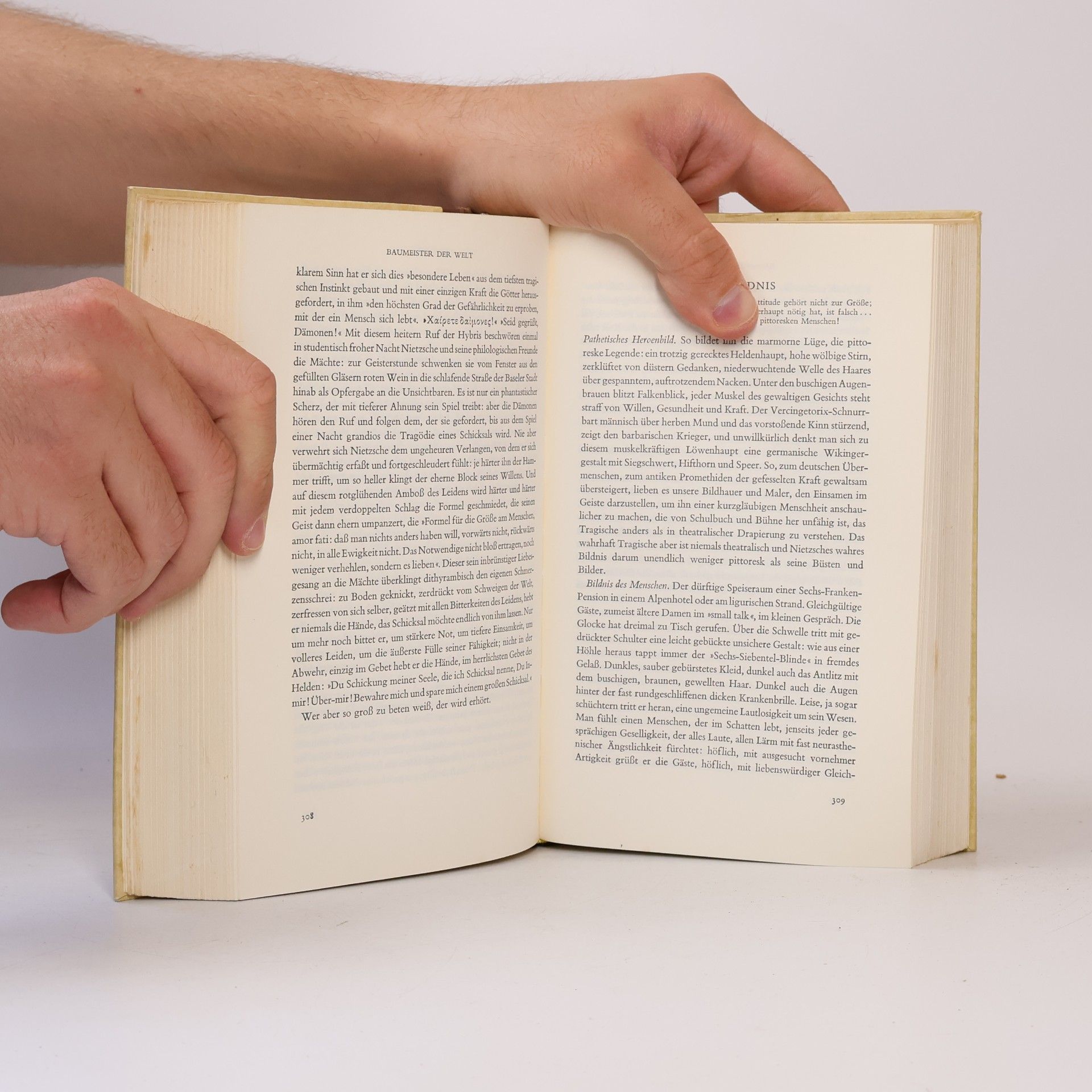 Stefan Zweig Baumeister der Welt