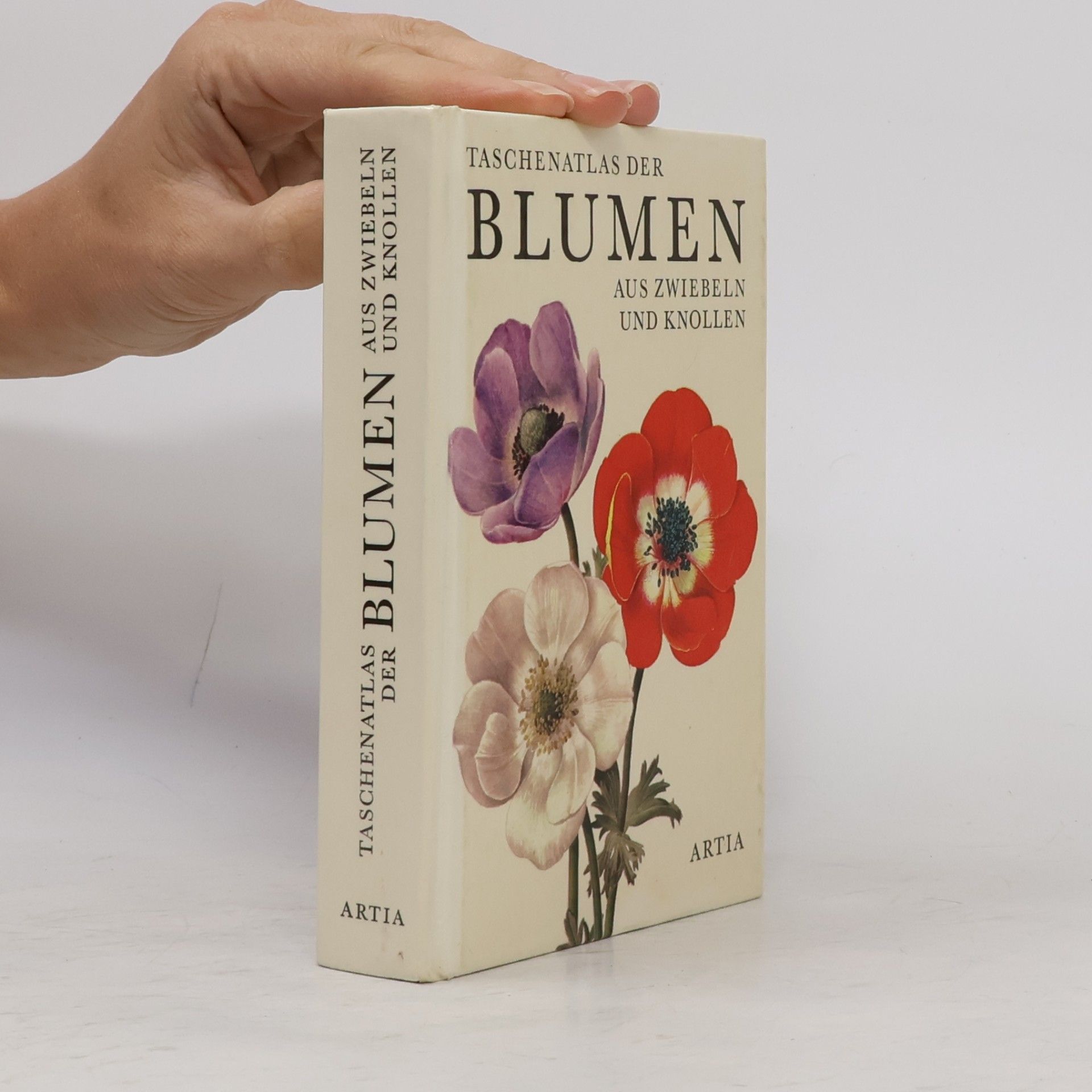 Taschenatlas der Blumen aus Zwiebeln und Knollen