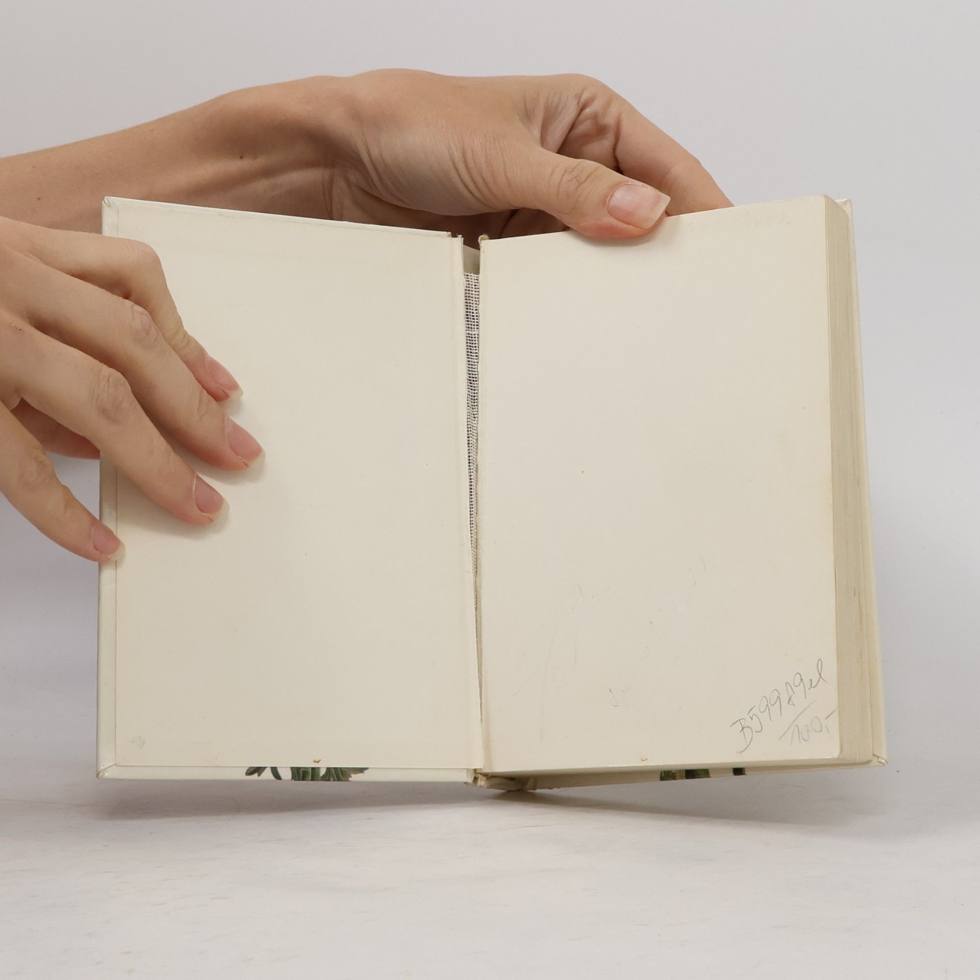 Eva Petrová Taschenatlas der Blumen aus Zwiebeln und Knollen