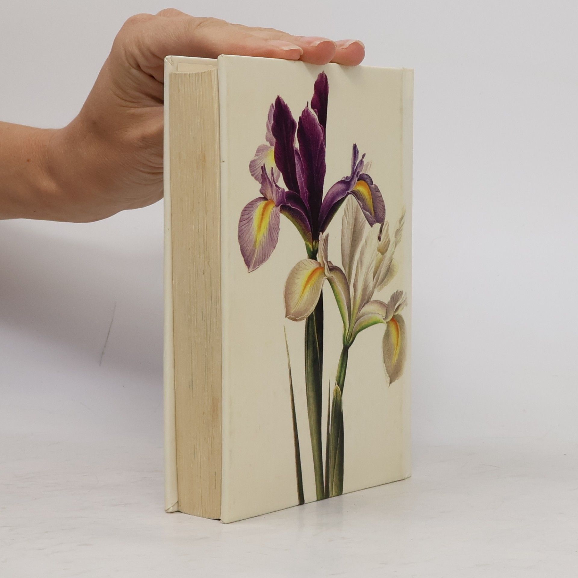 Eva Petrová Taschenatlas der Blumen aus Zwiebeln und Knollen