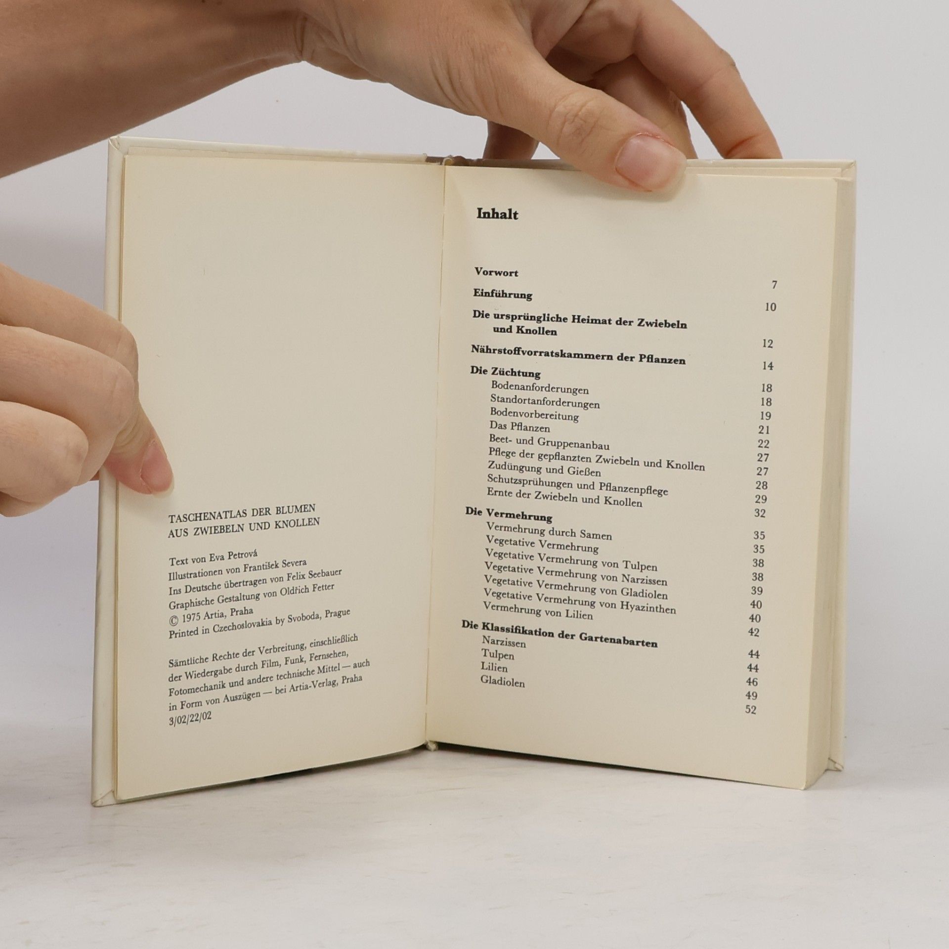 Eva Petrová Taschenatlas der Blumen aus Zwiebeln und Knollen