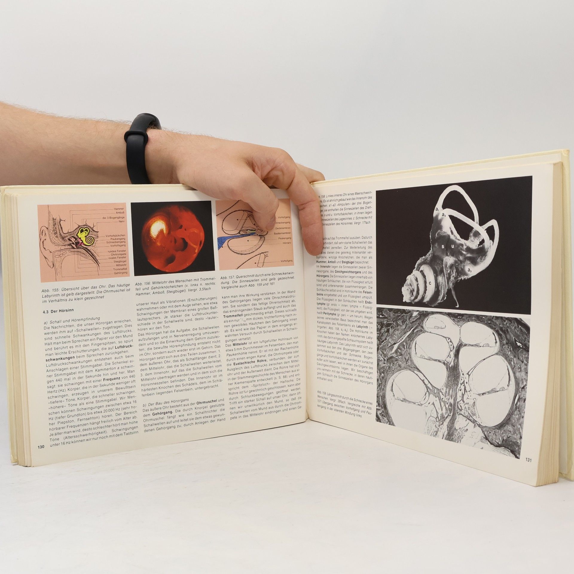 Hermann Linder Biologie des Menschen
