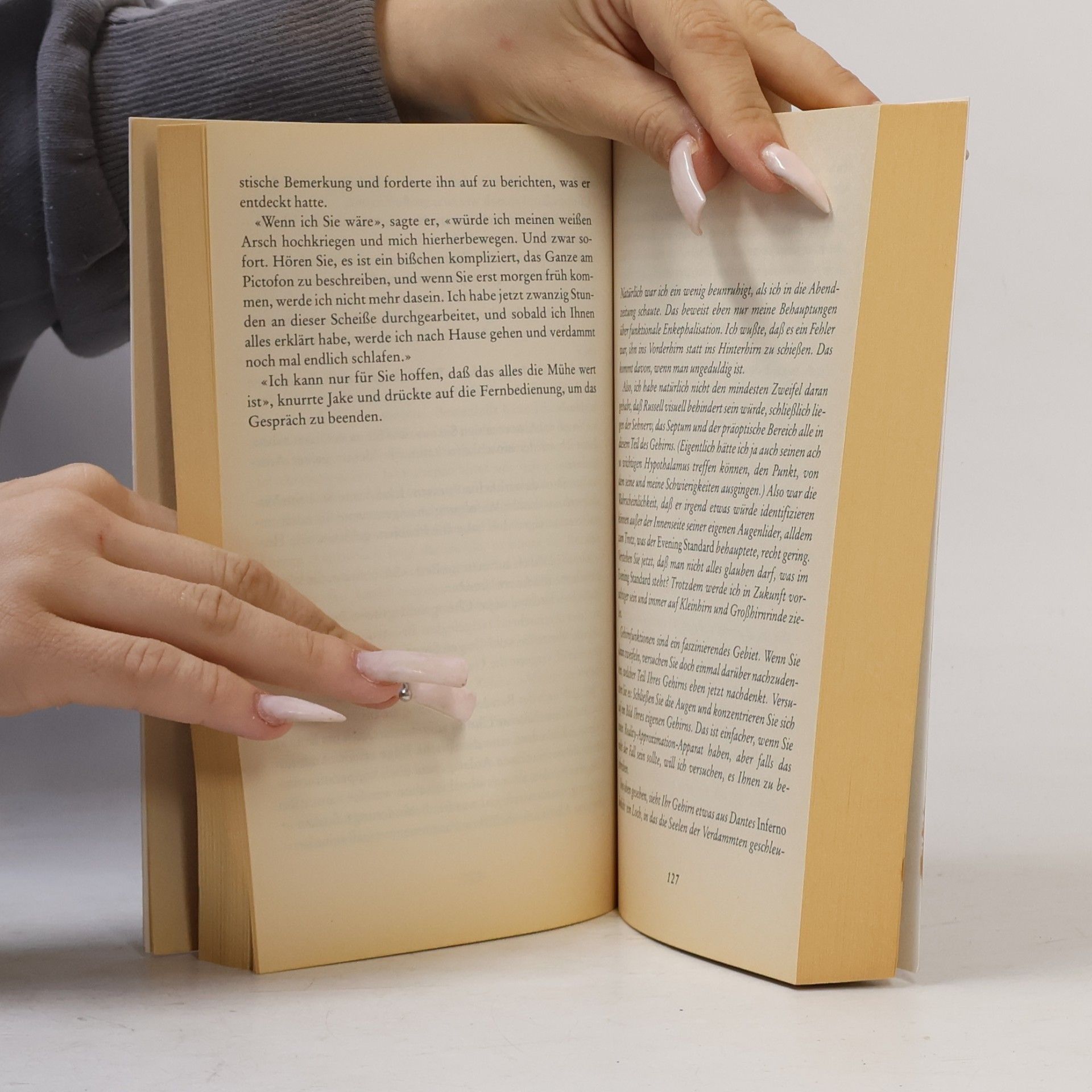 Philip Kerr Das Wittgenstein-Programm