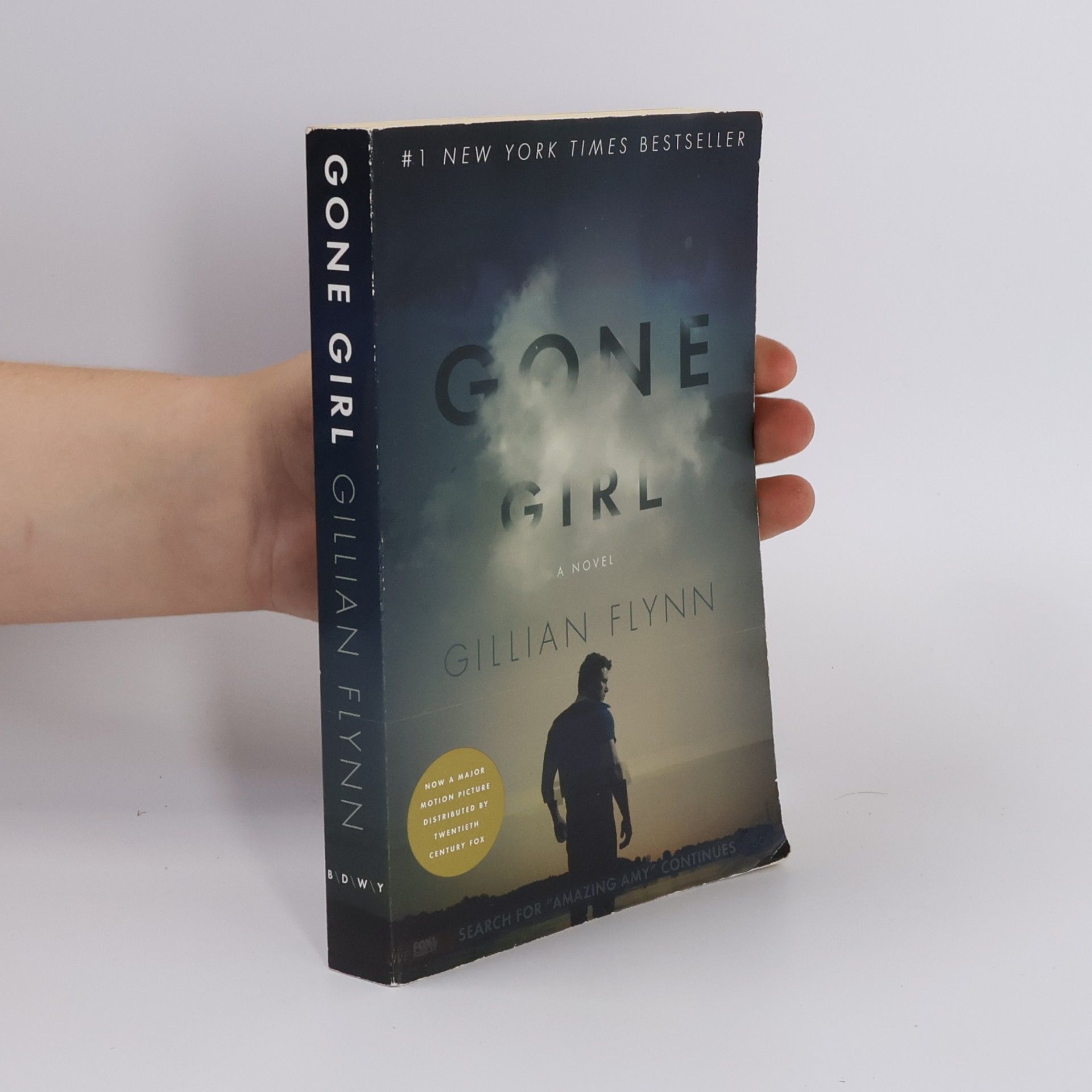 Gillian Flynn Gone Girl