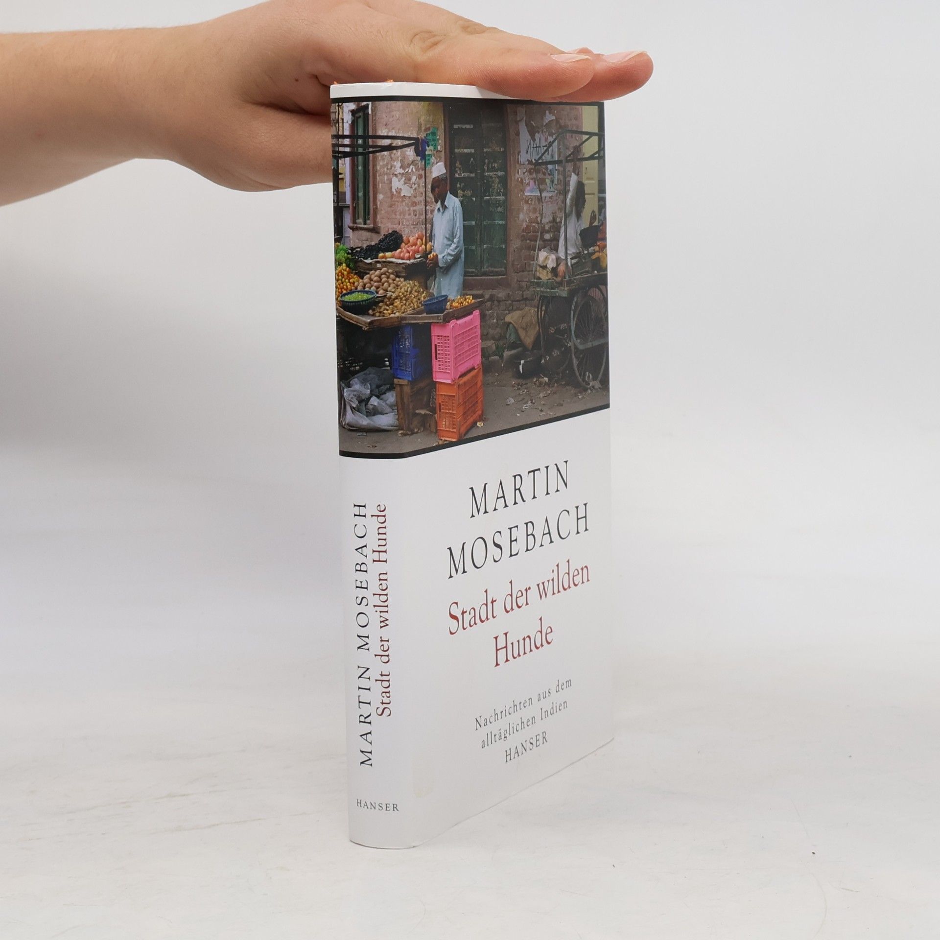 Martin Mosebach Stadt der wilden Hunde